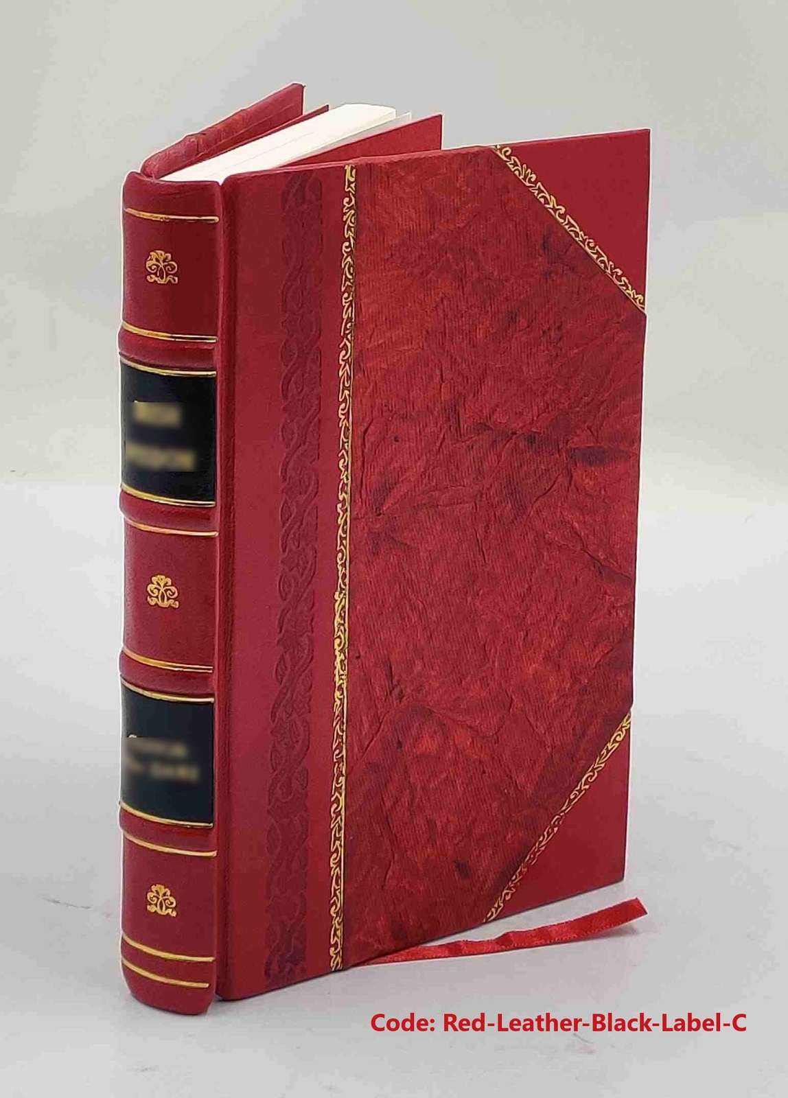 Harbaugh history; a directory, genealogy and source book of fami [Leather Bound]