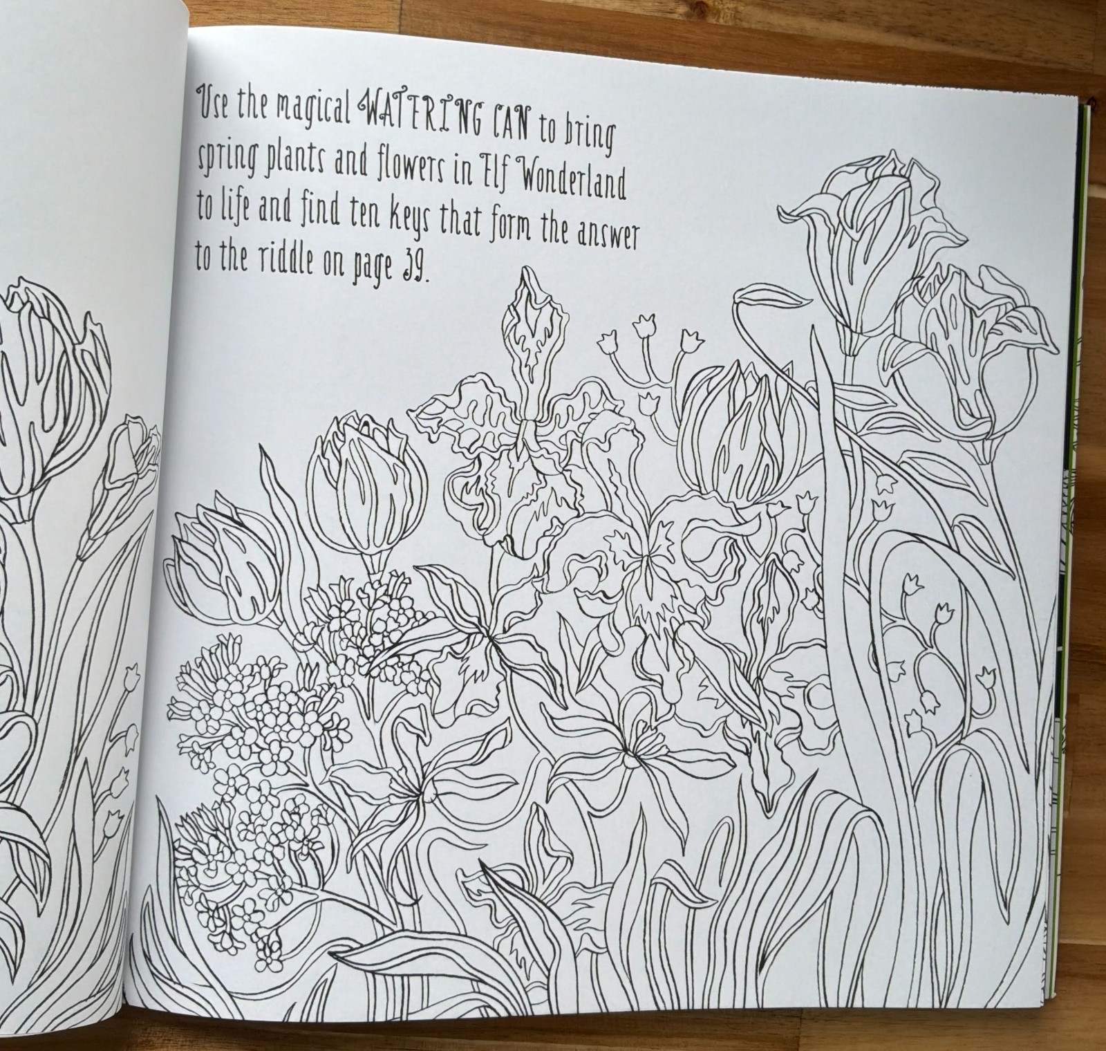 Elves in Wonderland colouring book by Marcos Chin
