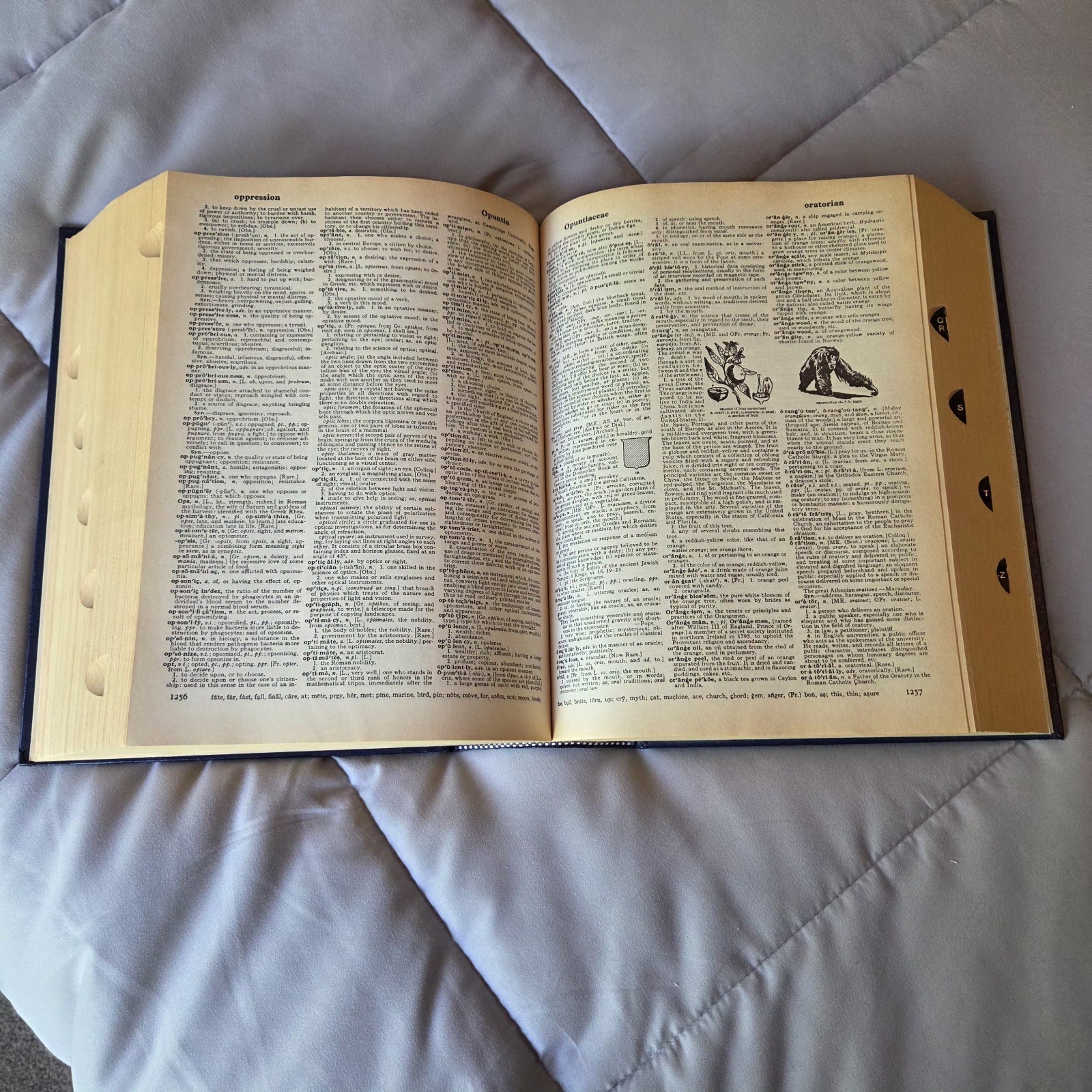 Websters New Universal Unabridged Dictionary 1983 Deluxe Second Edition US Print