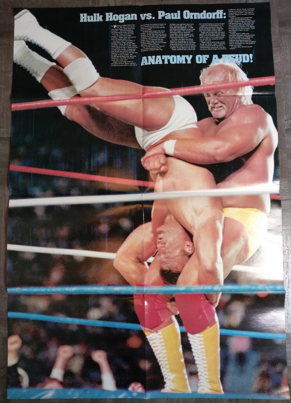 Pro Wrestling Illustrated Super Color #8 22×32 Hulk Hogan Paul Orndorff Poster
