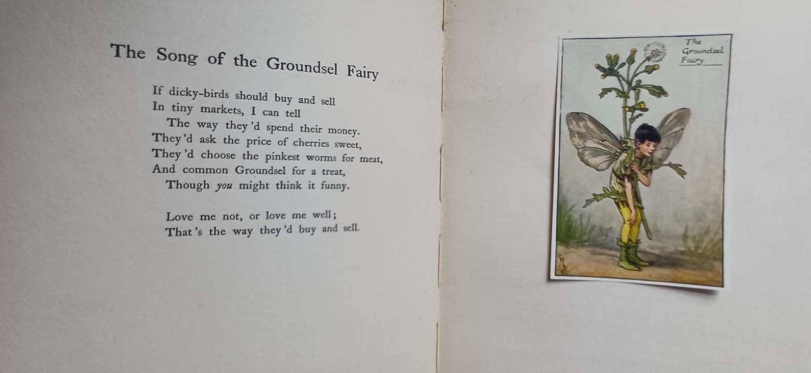 1st ed C1924 Cicely Mary Barker Flower fairies of the Spring music Tipped In