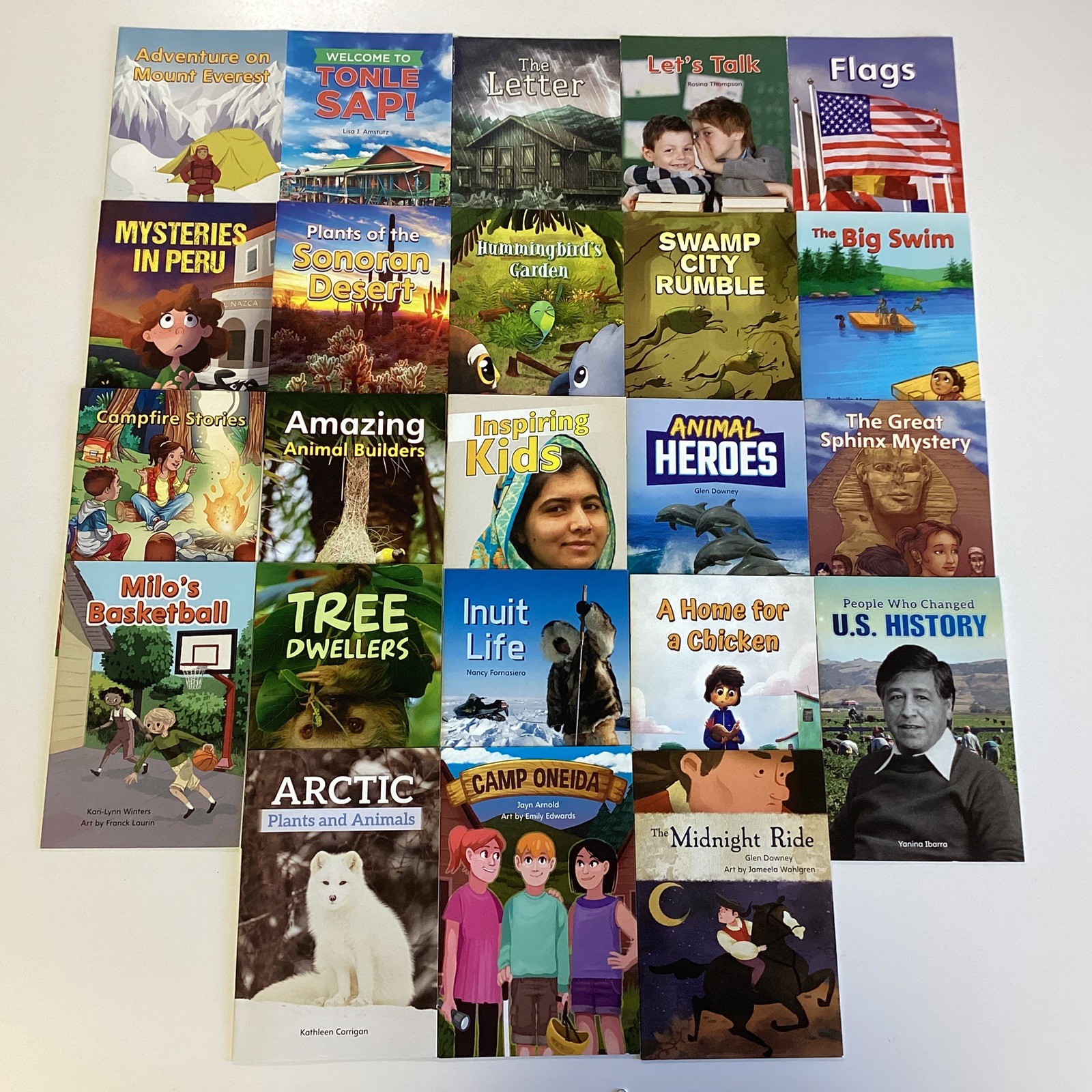 2nd Grade Vocabulary Reader Lot of 23 Levels J, K, L, M Pearson Rubicon