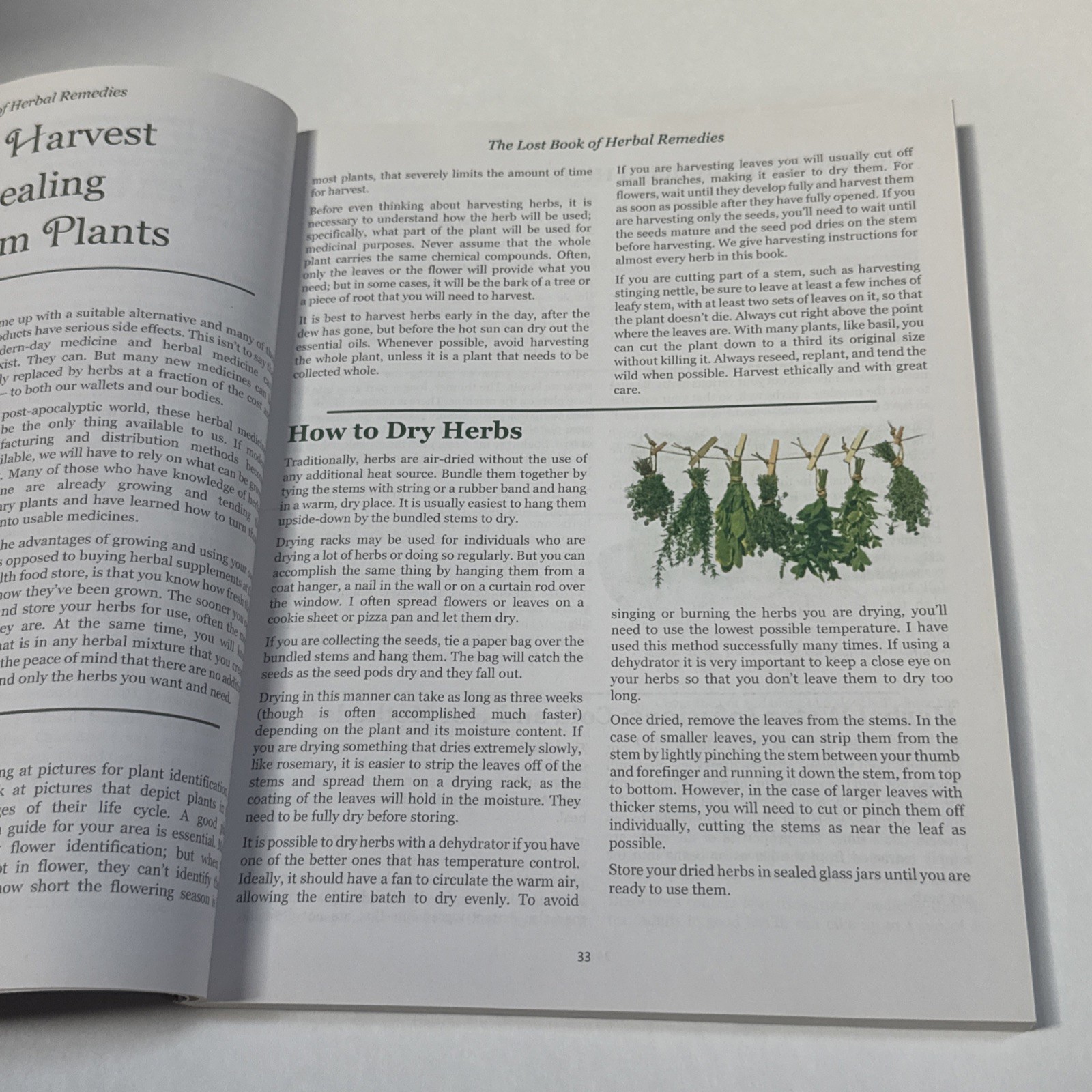 The Lost Book of Herbal Remedies by Nicole Apelian & Claude Davis