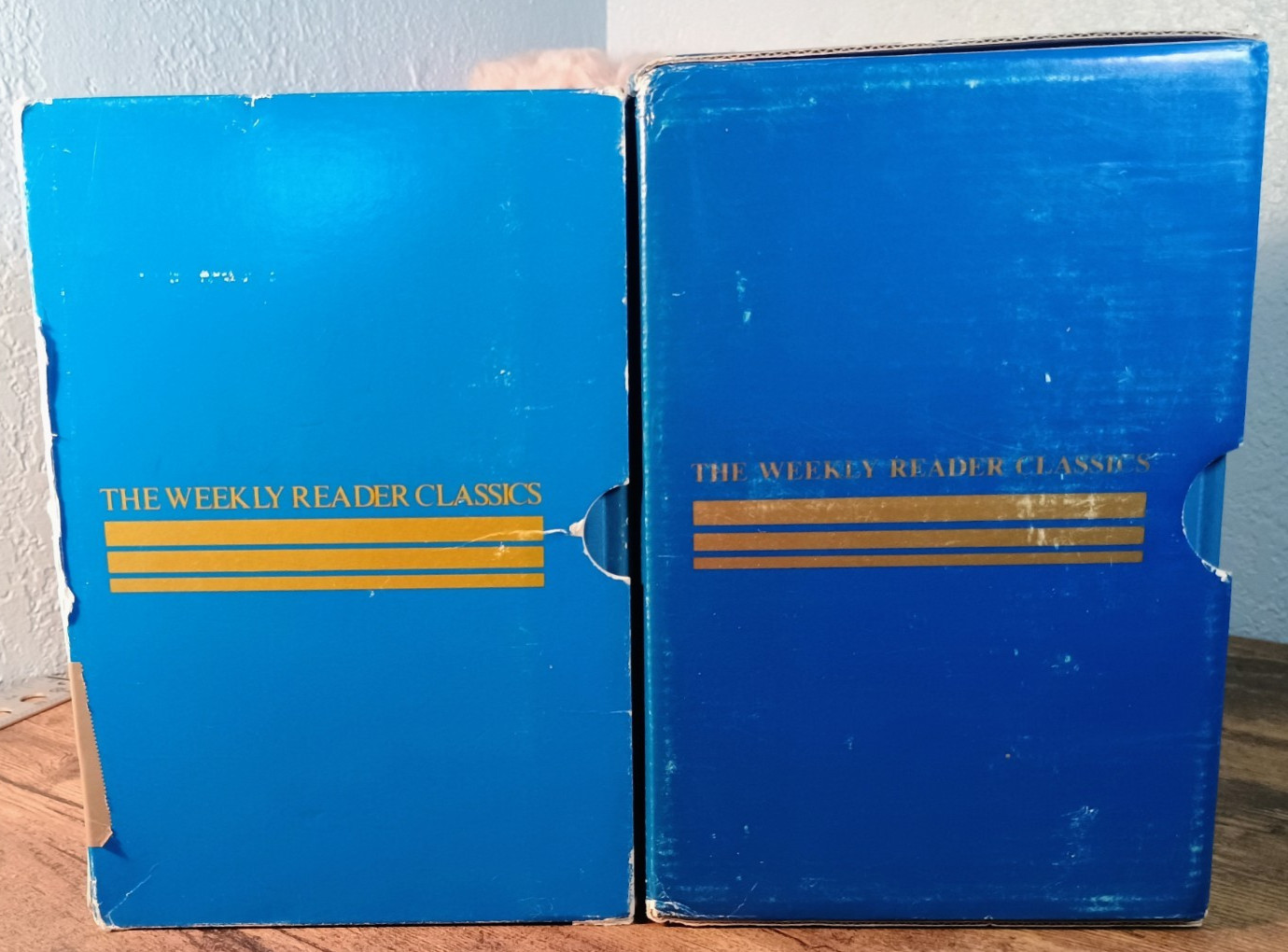 *1983* 🎣The Weekly Reader Classics 10 Book Box Set Hardcover🦄
