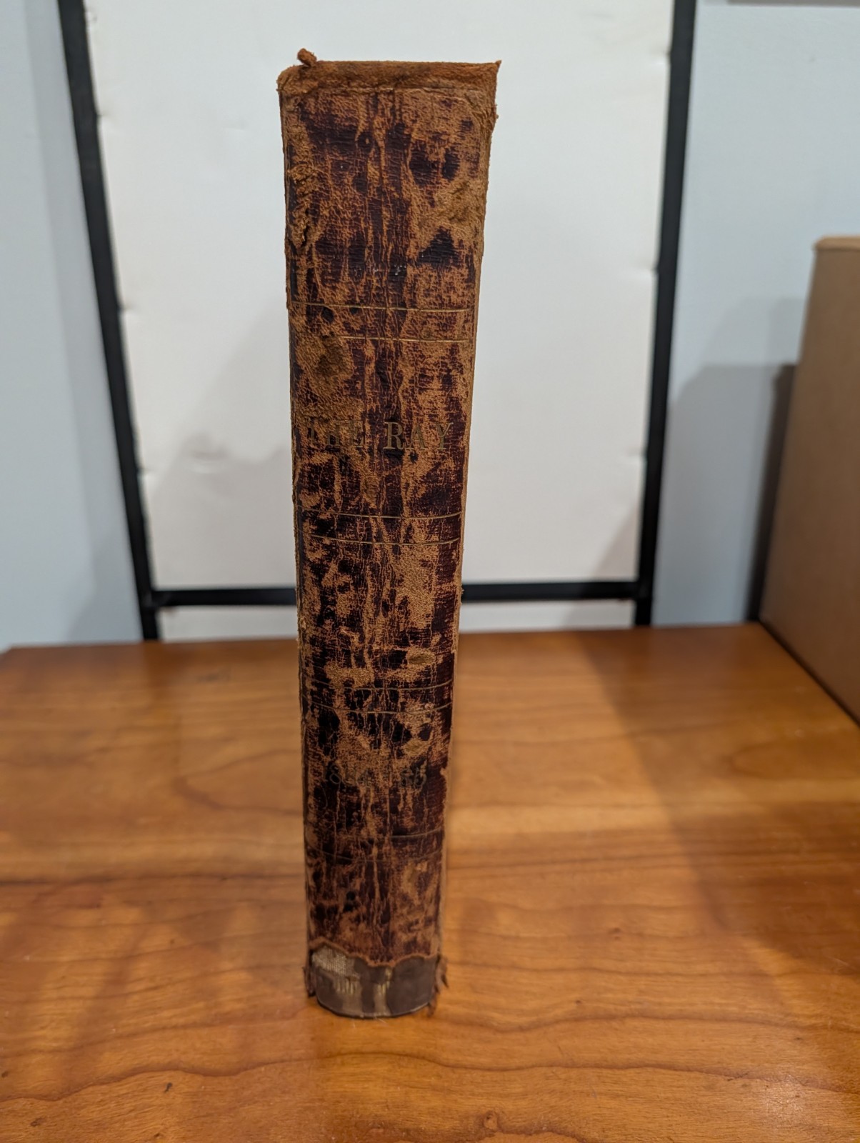 Original 1884-1885 The Ray Bound Boston Theatre Program & Ephemera Volume
