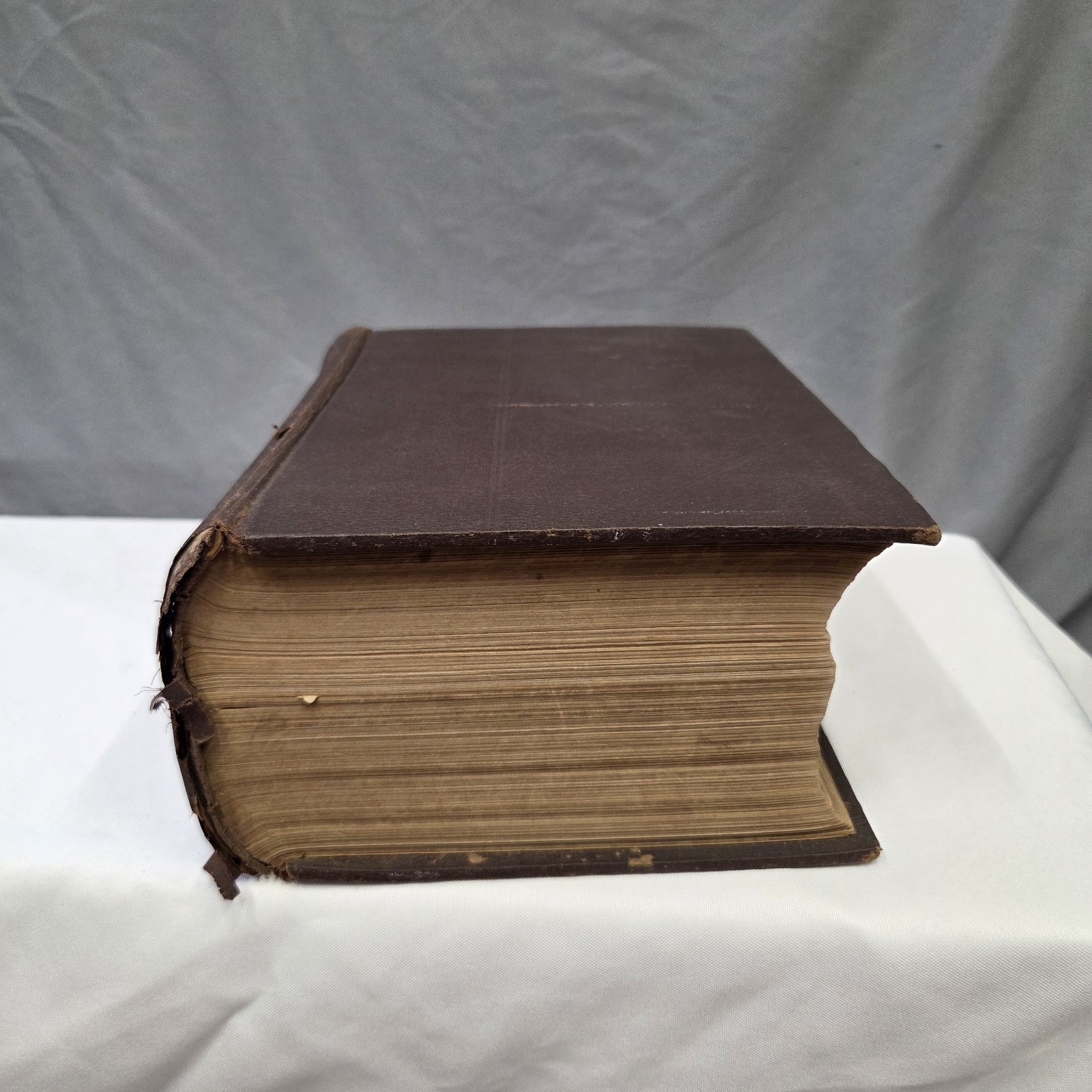 Medicology or Home Encyclopedia of Health 1906 Joseph Richardson 10 volumes in 1
