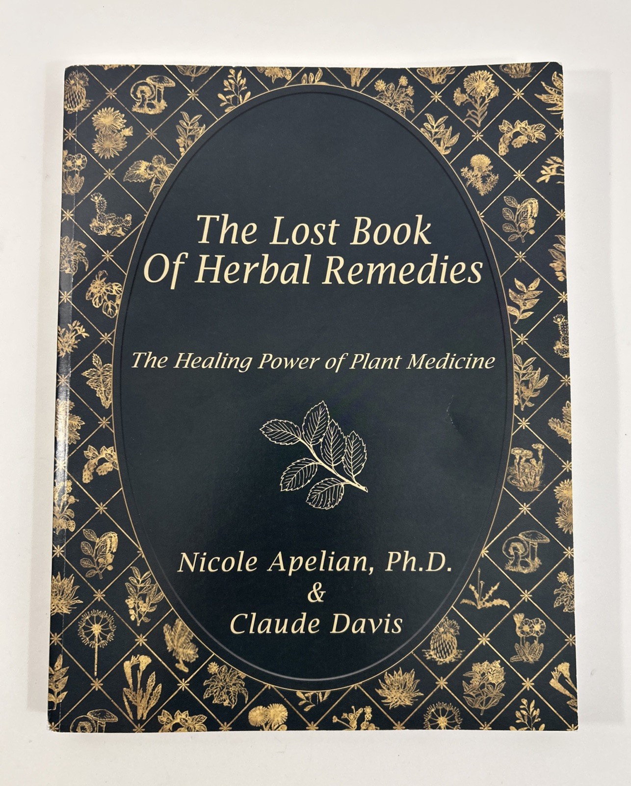 The Lost Book of Herbal Remedies: by Nicole Apelian & Claude Davis Paperback