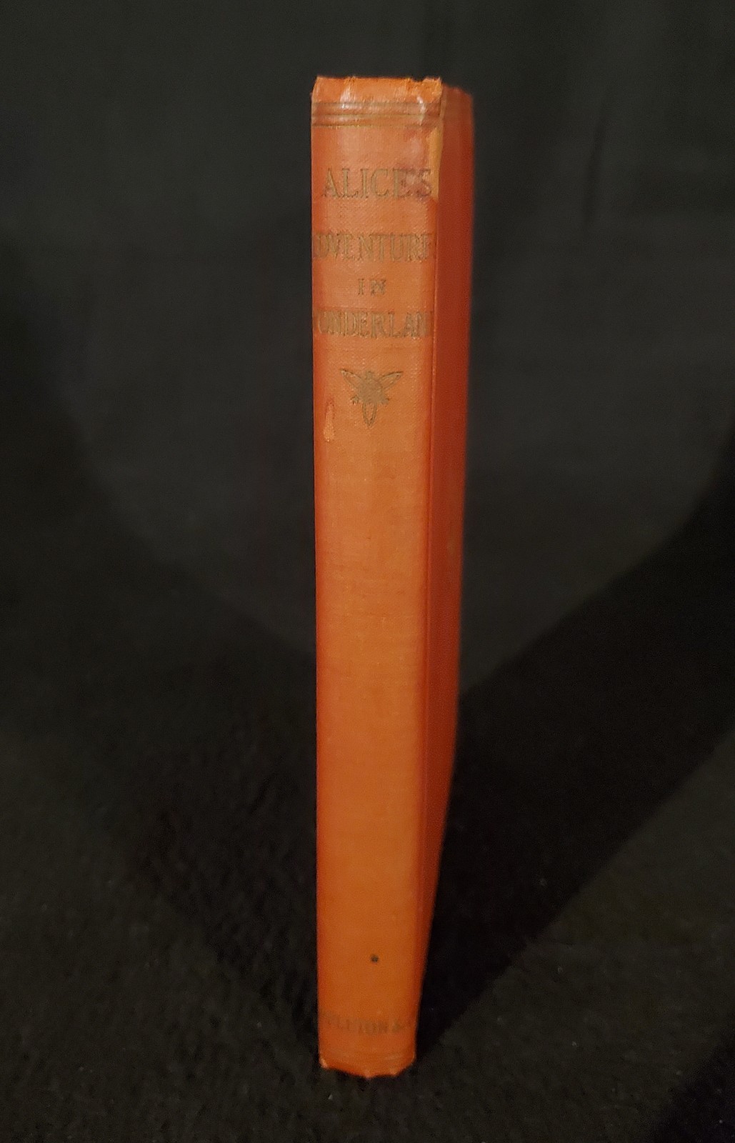 Lewis Carroll ALICE’S ADVENTURES IN WONDERLAND ~ D. Appleton & Co ~ 1927 Fairy