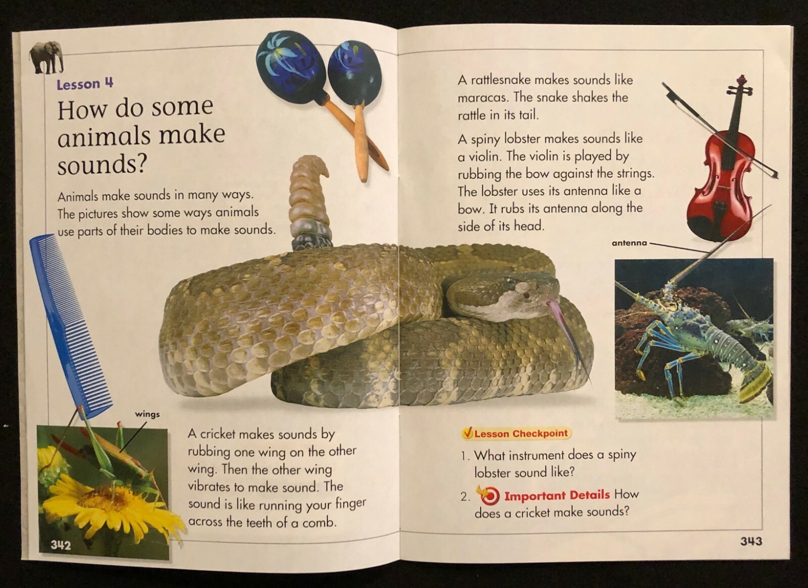 2nd Grade SCIENCE CURRICULUM READERS – LARGE Chapter Booklets (2008, Pearson)