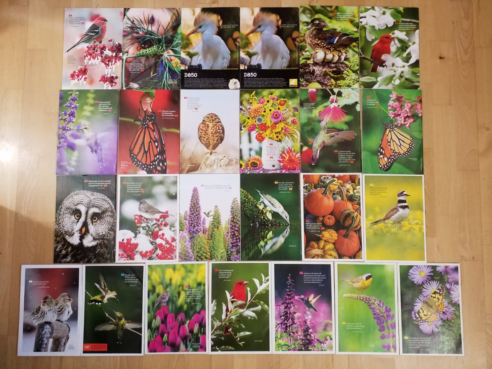 Birds & Blooms Magazine Lot of 25 2018-2024 Mixed Bundle GREAT
