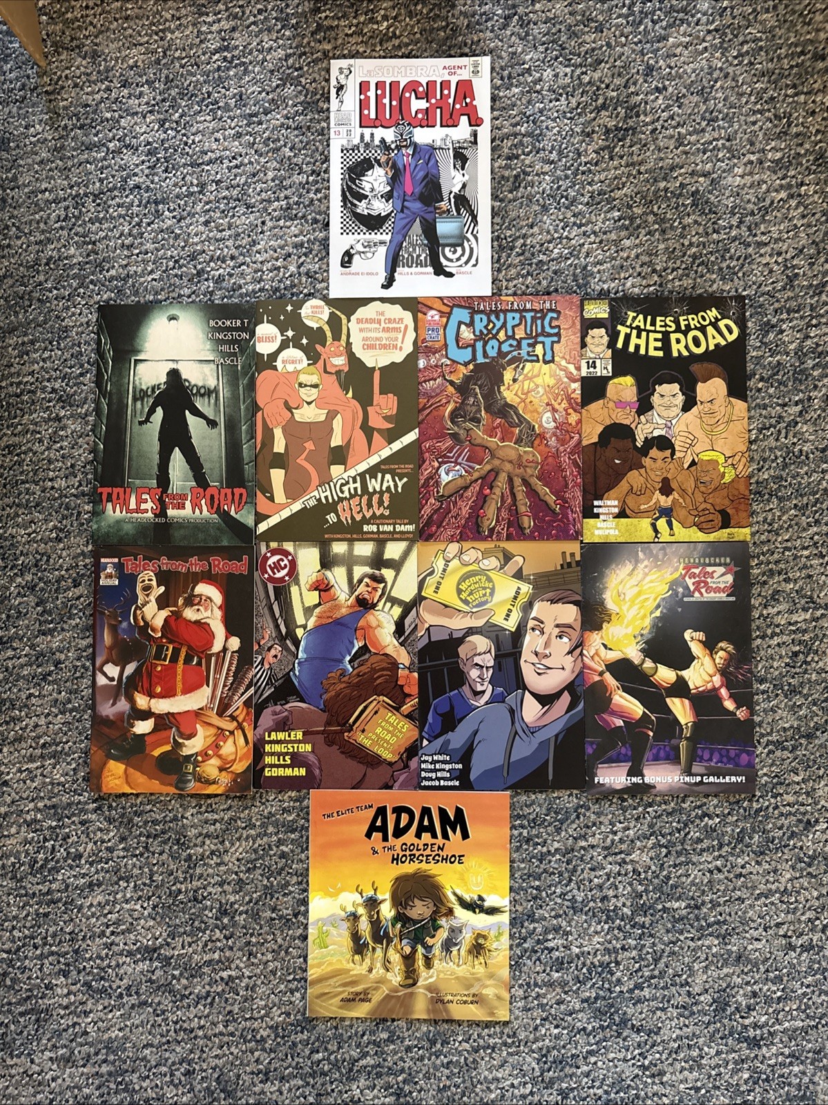 Lot of 9 Pro Wrestling Crate Exclusive Comic Books and 1 Paperback By Adam Page