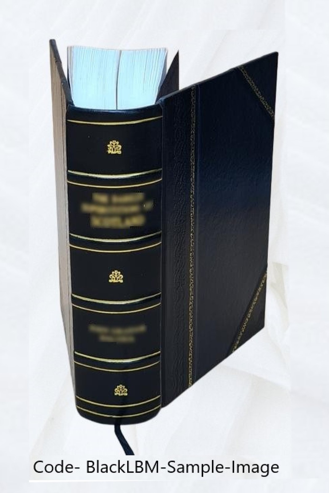 American Lumbermen The Personal History And Public And Business [Leather Bound]