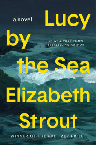 Lucy by the Sea: A Novel – Hardcover By Strout, Elizabeth – VERY GOOD