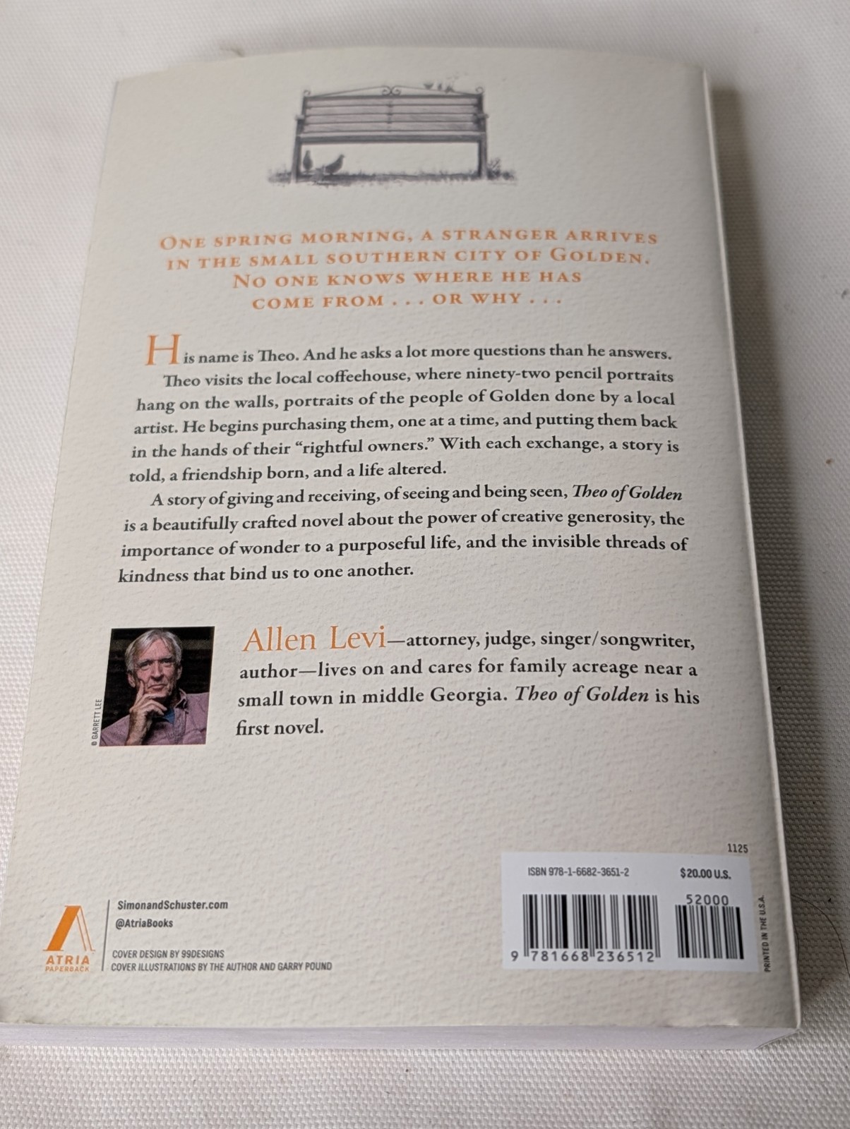 Theo of Golden : A Novel by Allen Levi (2025, Trade Paperback)
