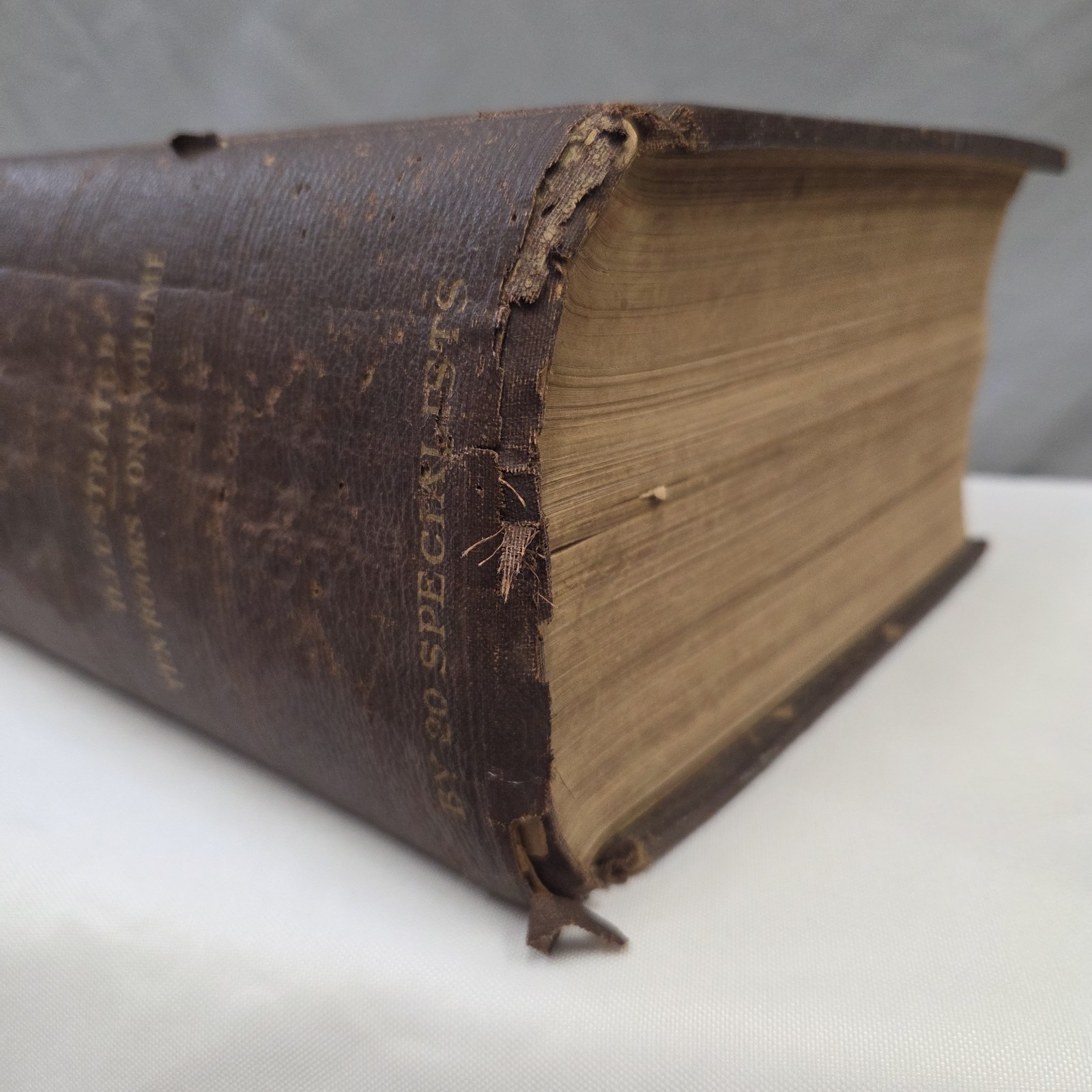 Medicology or Home Encyclopedia of Health 1906 Joseph Richardson 10 volumes in 1