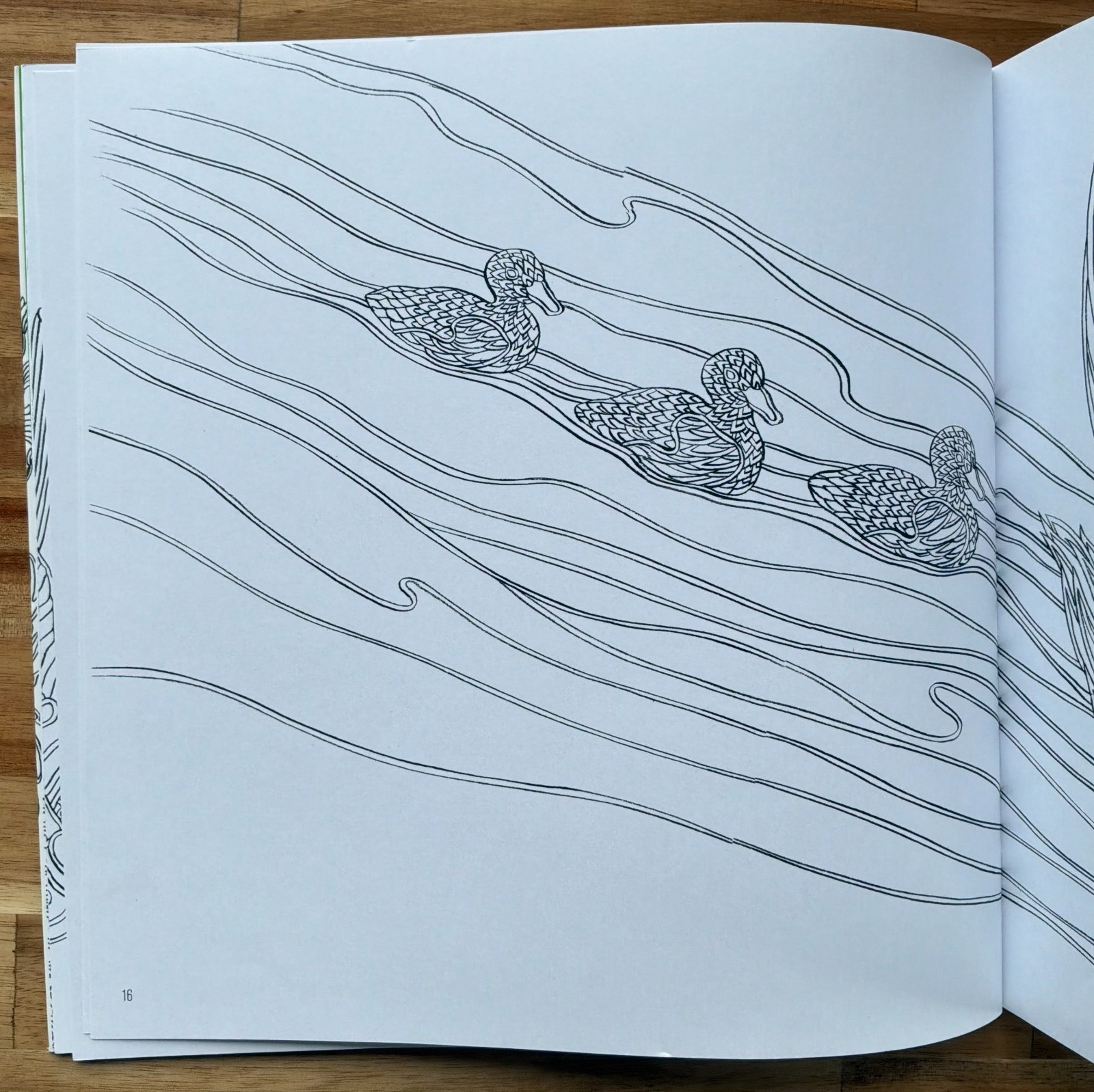 Elves in Wonderland colouring book by Marcos Chin