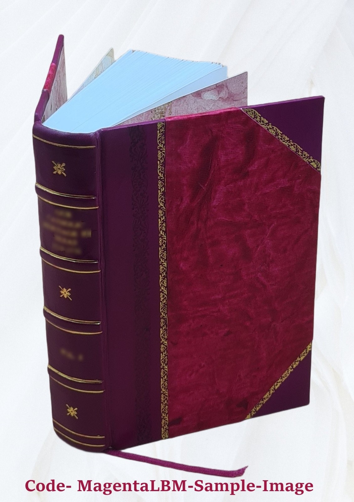 American Lumbermen The Personal History And Public And Business [Leather Bound]