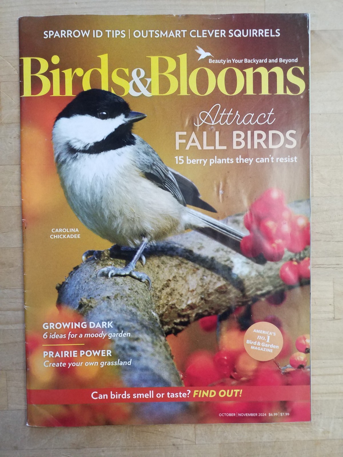 Birds & Blooms Magazine Lot of 25 2018-2024 Mixed Bundle GREAT