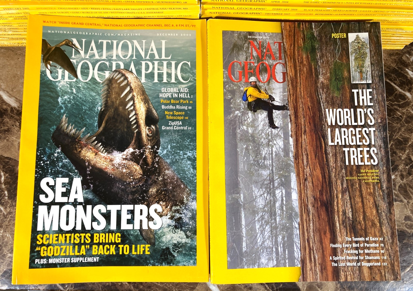 National Geographic Magazine 1968-2024 Lot of 10 Random Pick G-VG No Duplicates