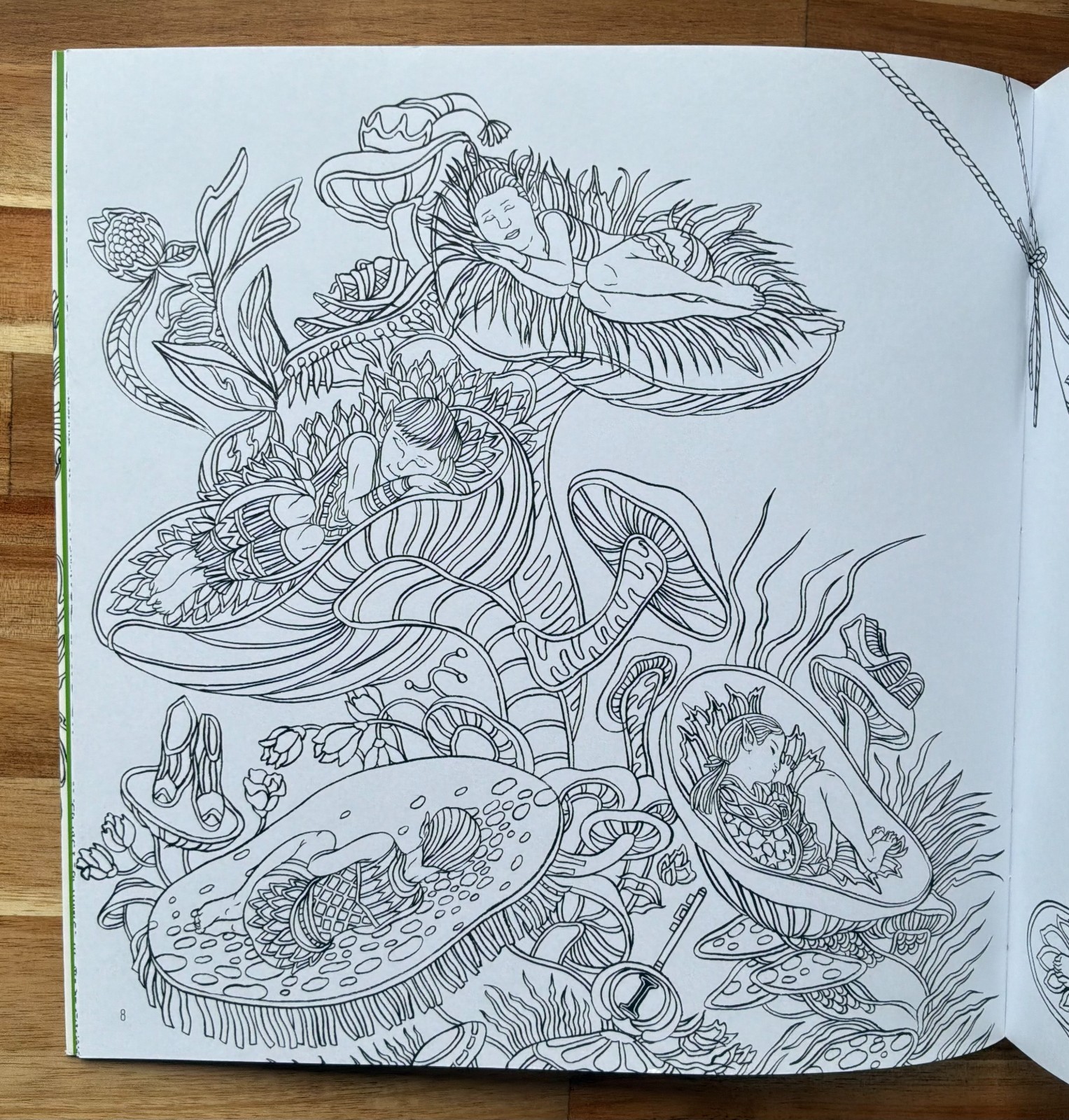 Elves in Wonderland colouring book by Marcos Chin