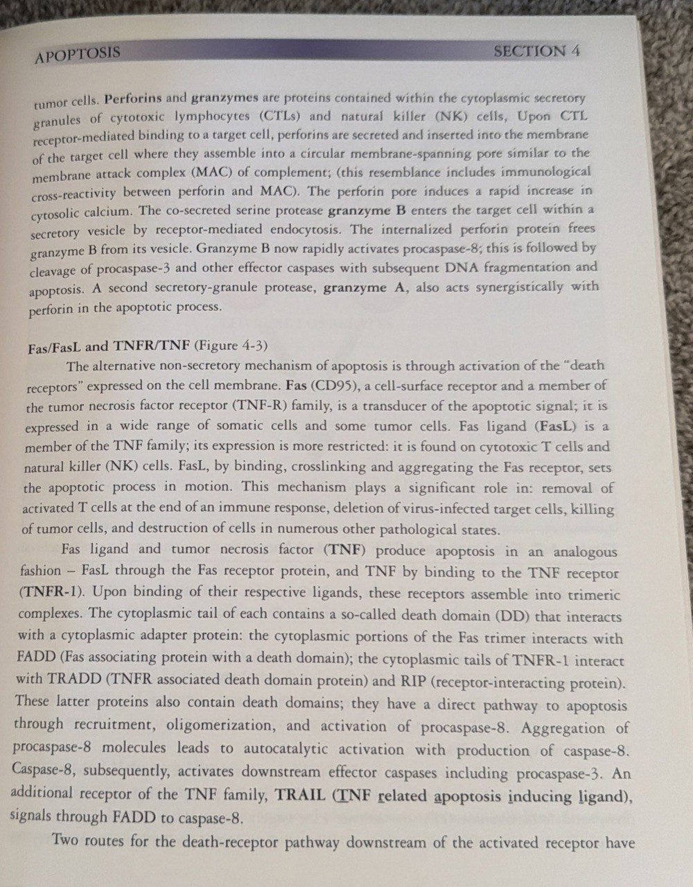 MECHANISMS IN HEMATOLOGY By Lyonel G. Israels; Esther D. Israels