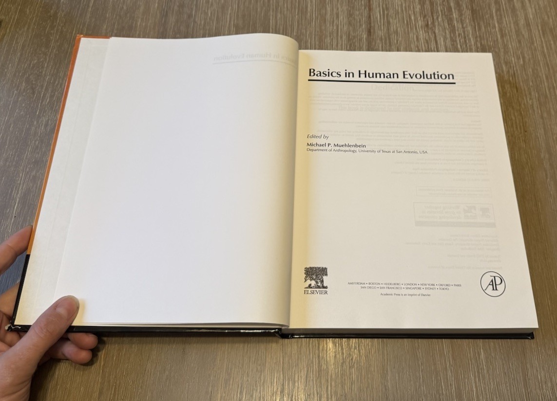 Basics in Human Evolution by Michael P. Muehlenbein 2015 HC