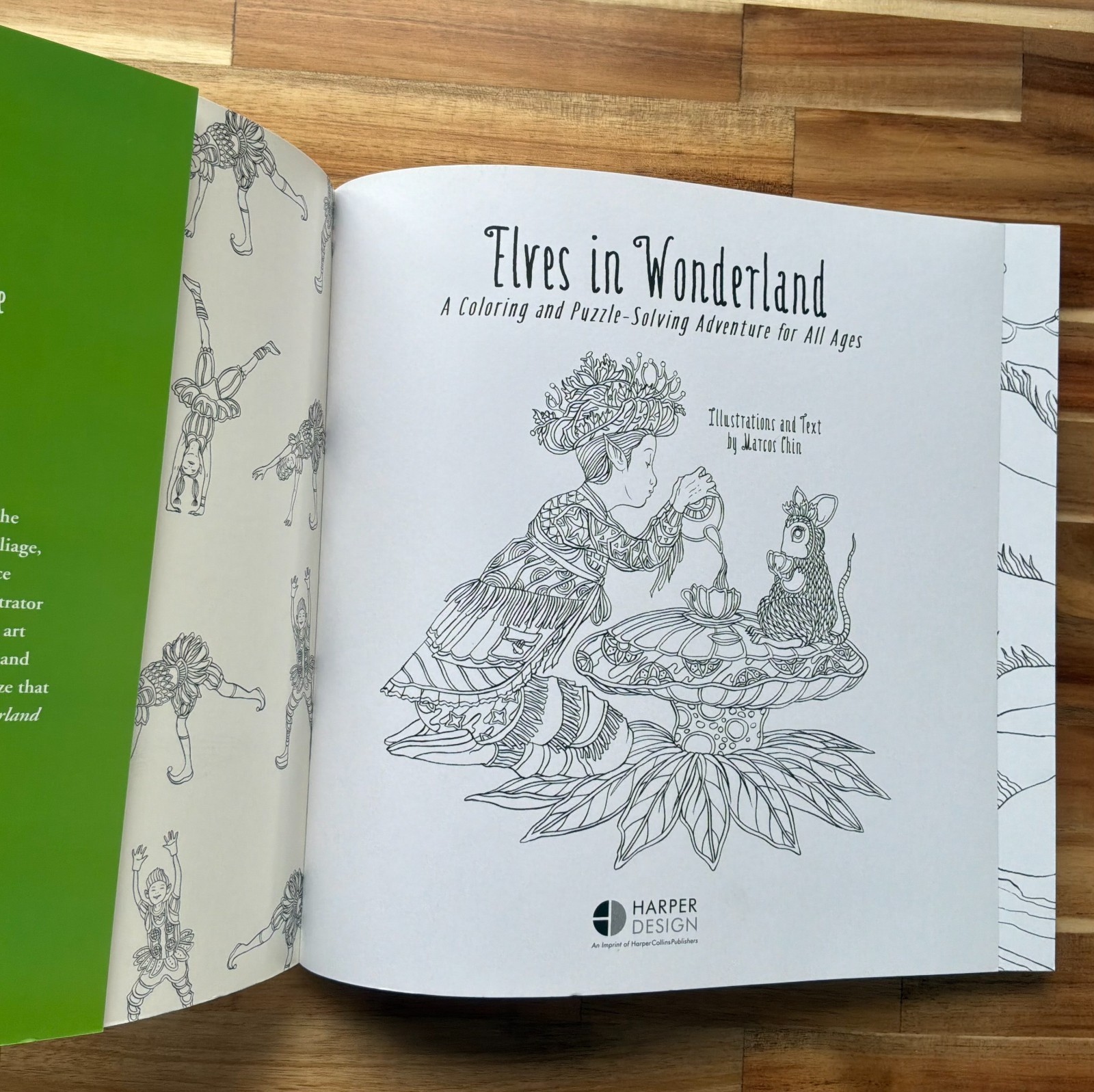 Elves in Wonderland colouring book by Marcos Chin