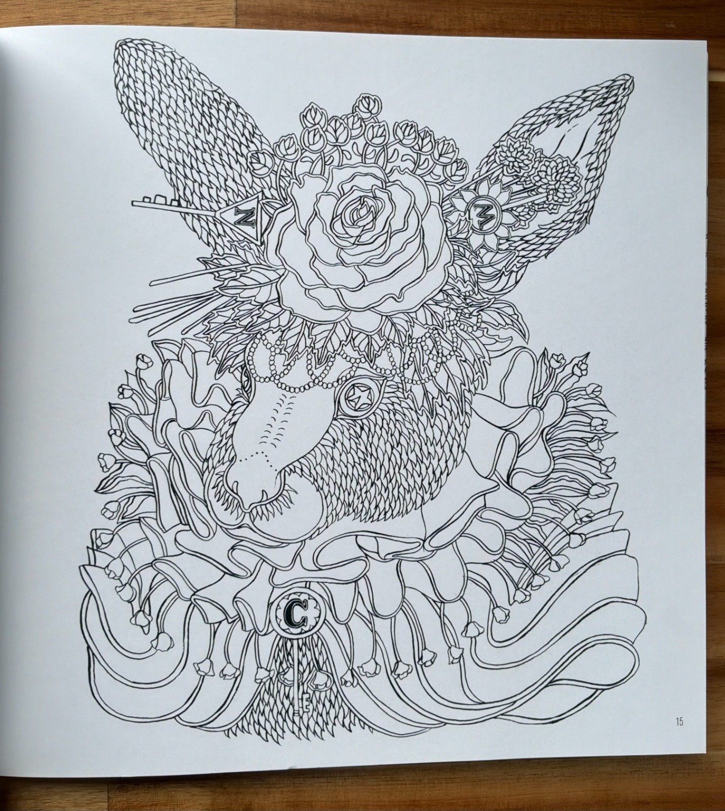 Elves in Wonderland colouring book by Marcos Chin