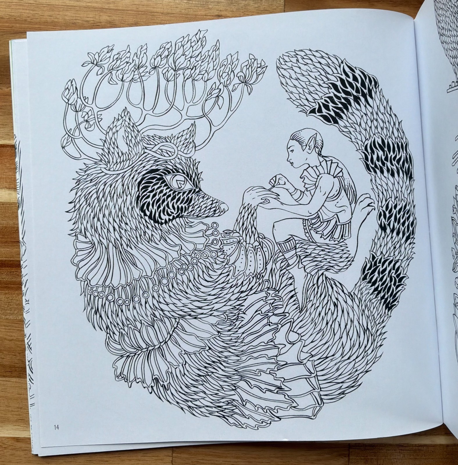 Elves in Wonderland colouring book by Marcos Chin