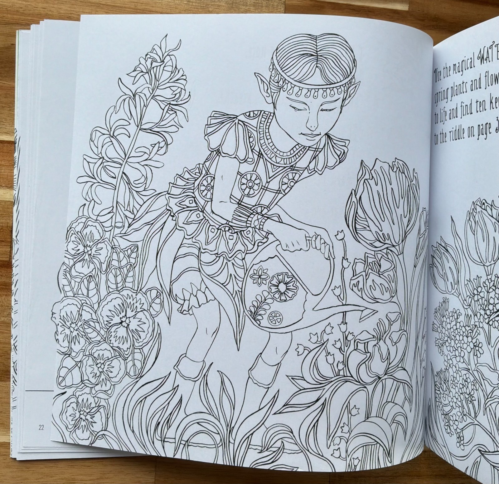 Elves in Wonderland colouring book by Marcos Chin
