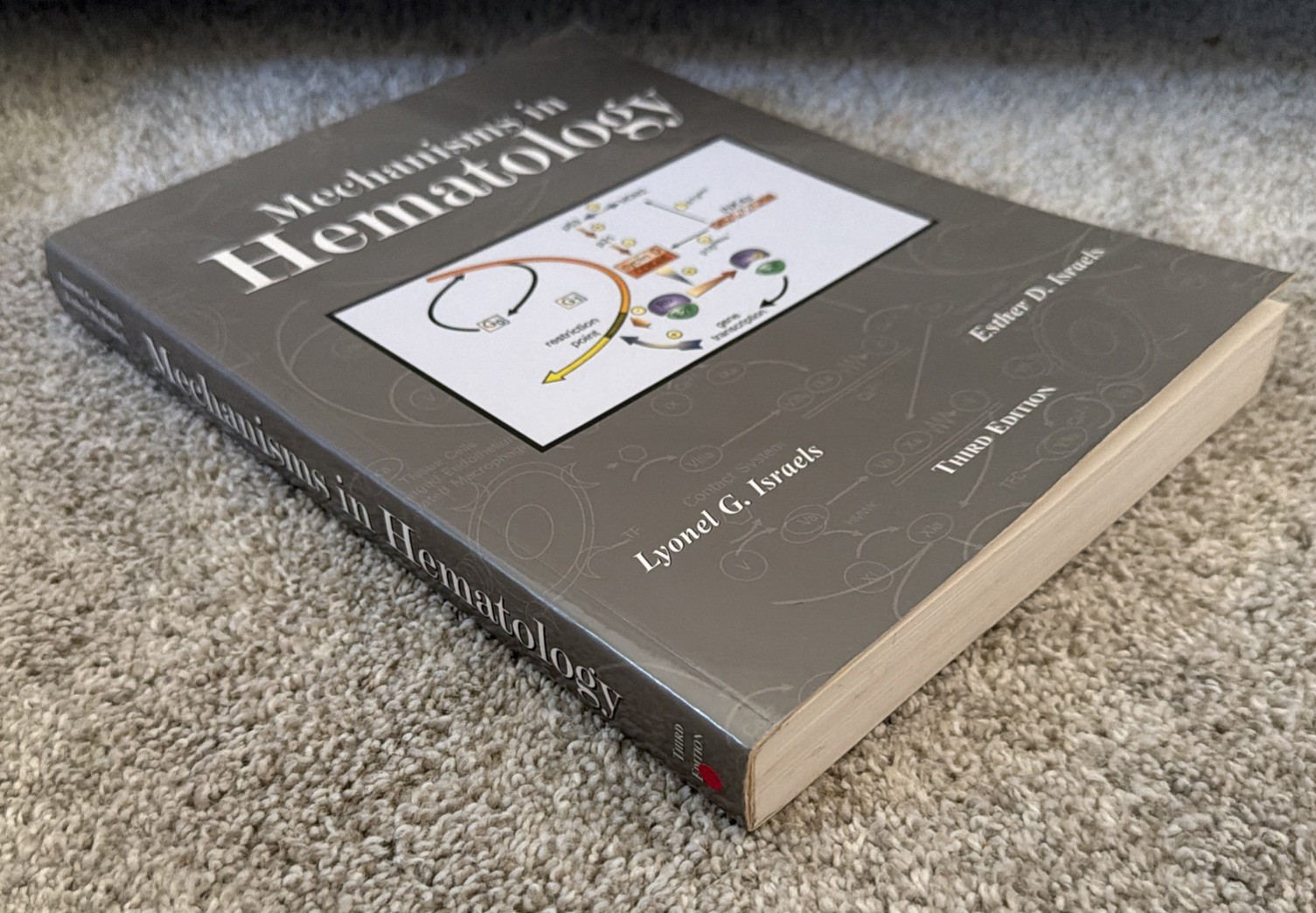 MECHANISMS IN HEMATOLOGY By Lyonel G. Israels; Esther D. Israels