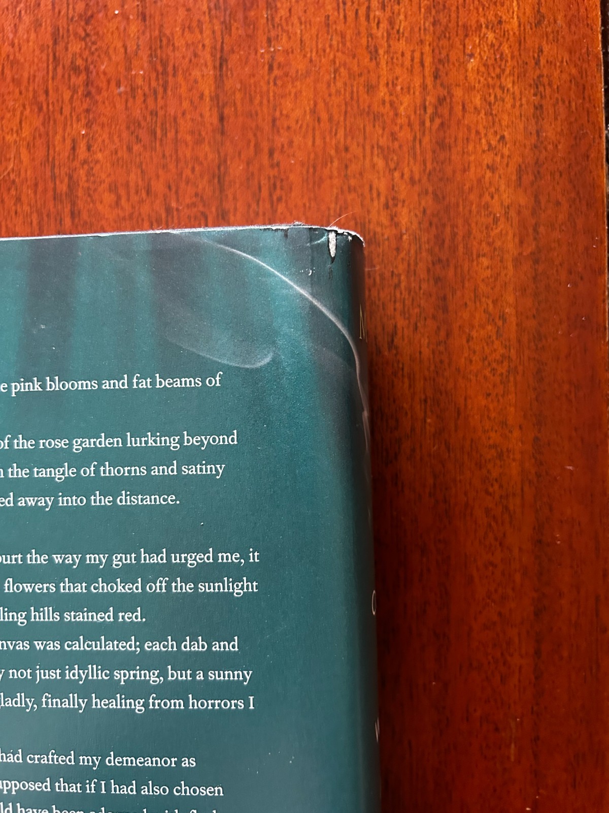 A Court of Wings and Ruin Sarah J. Maas Hardcover (2017) Good to Fair Condition