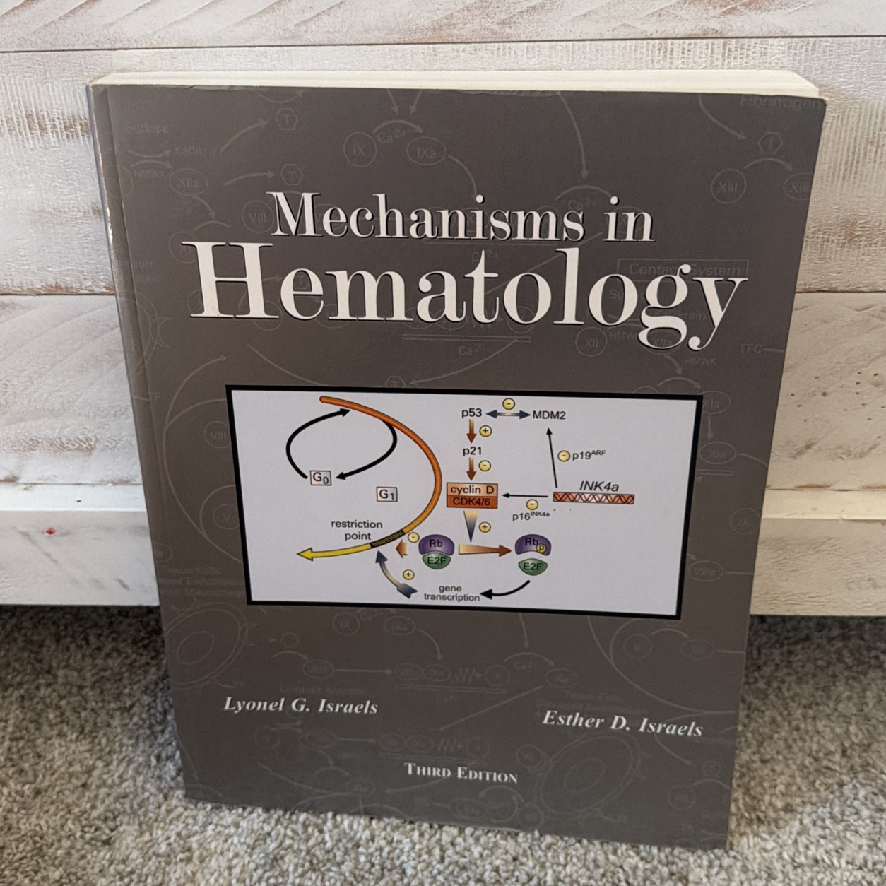 MECHANISMS IN HEMATOLOGY By Lyonel G. Israels; Esther D. Israels