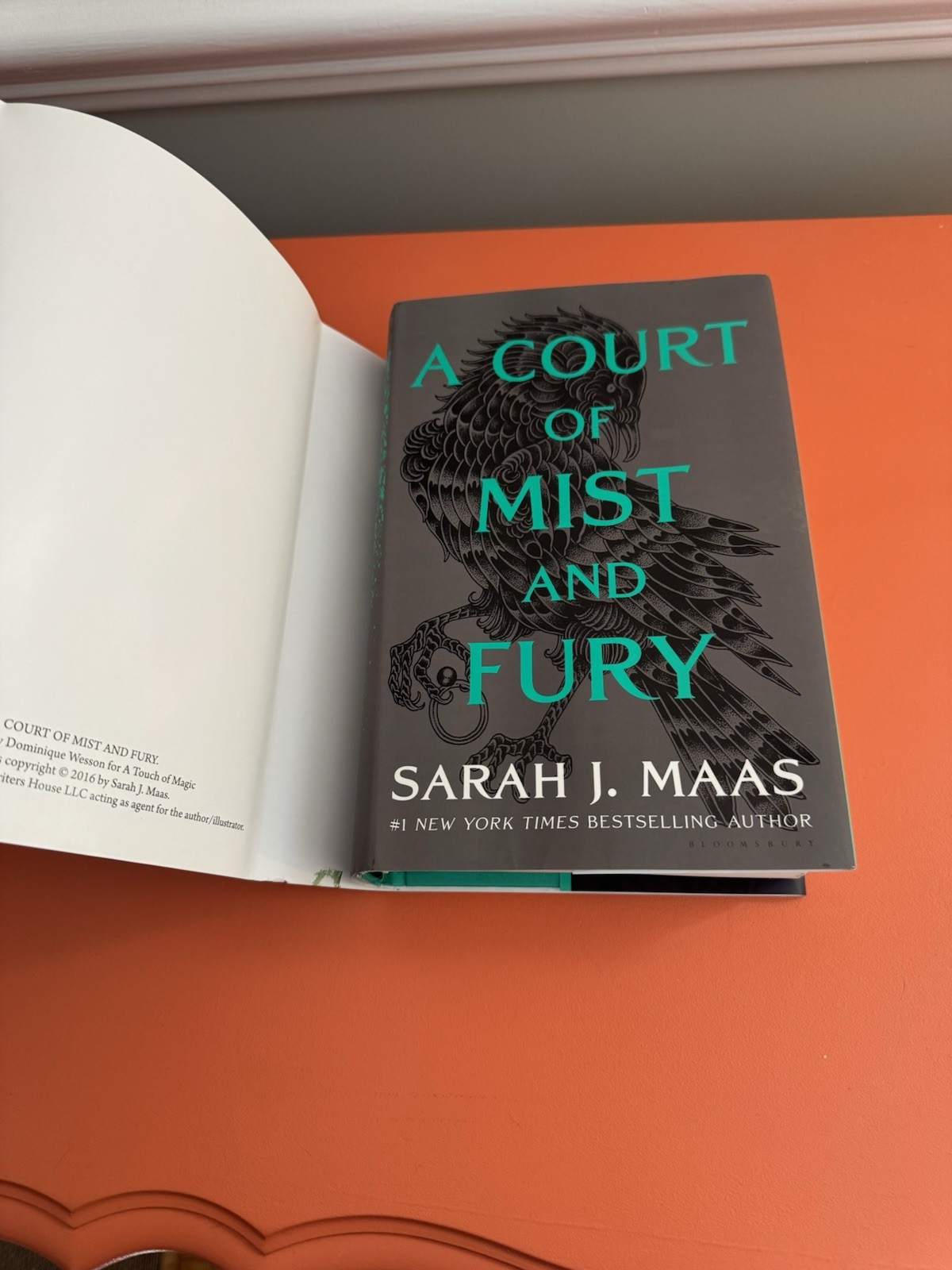 Sarah J. Maas A Court of Thorns and Roses Harcover Series special dust jackets