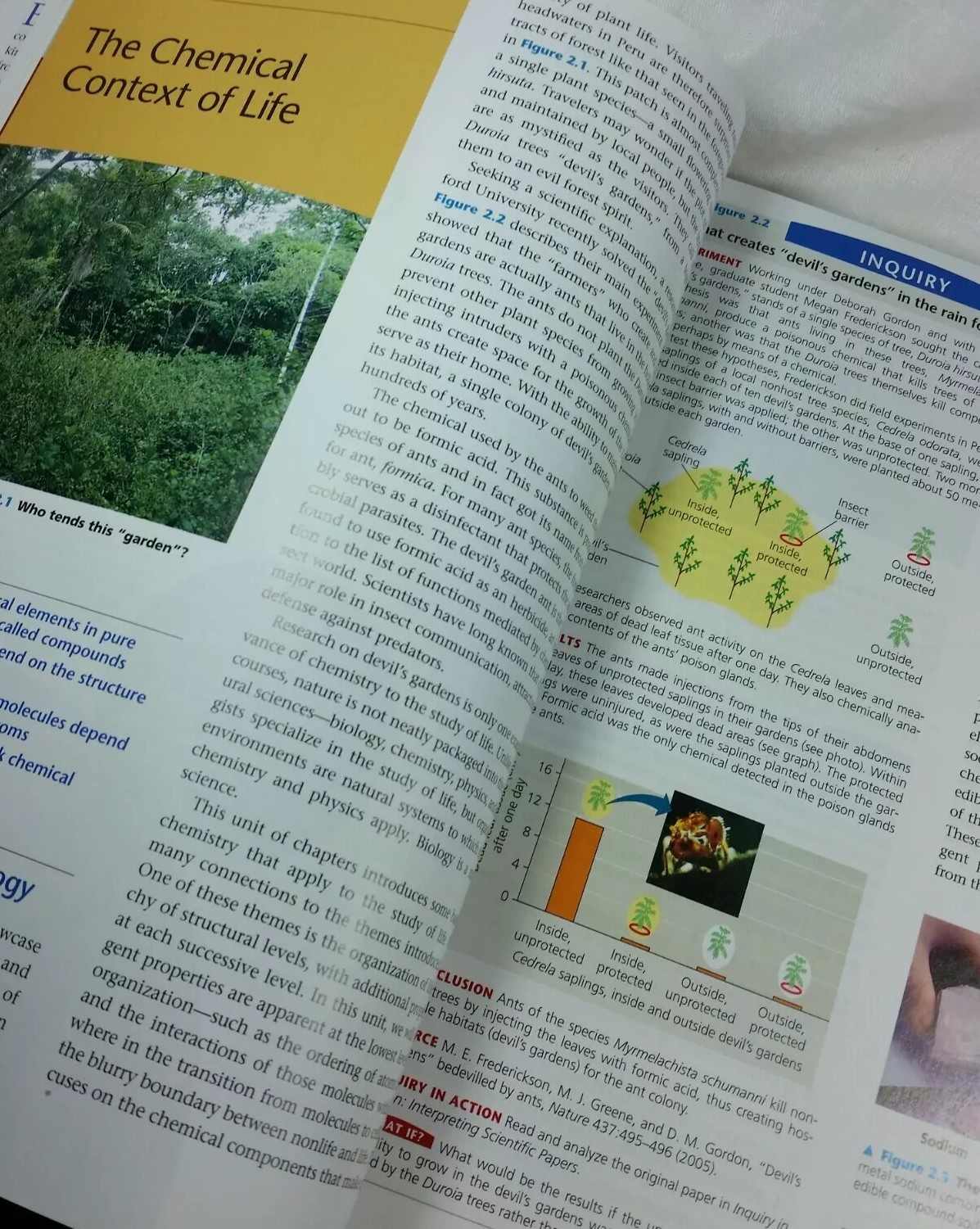 Campbell Biology: Bio 107, 2nd Custom Edition for Montgomery College, PB Book