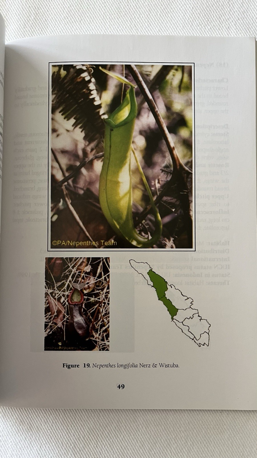 A Field Guide to the Nepenthes of Sumatra 2006 Rare Carnivorous Plant Book