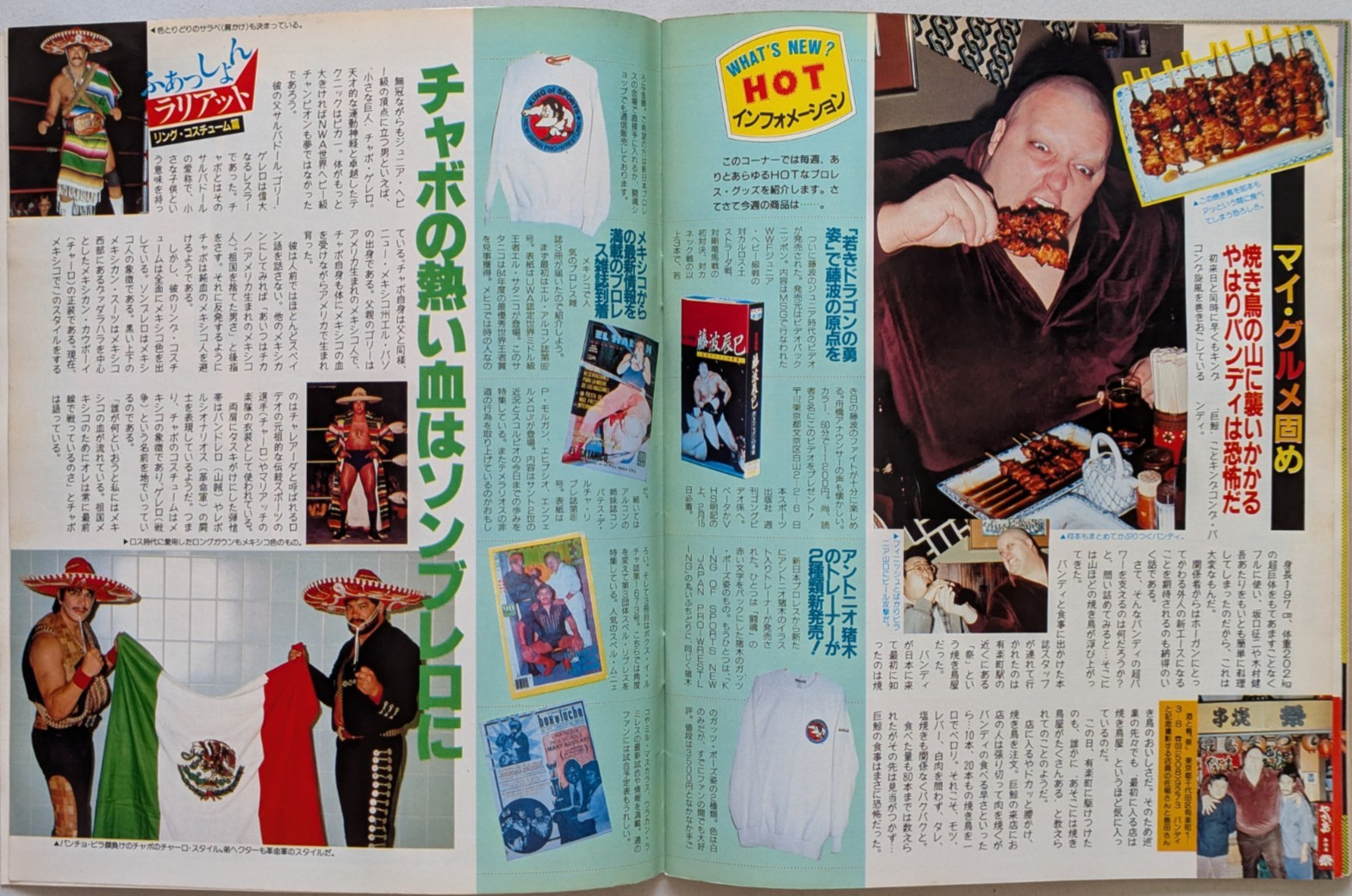 Weekly Gong 2/21/1985 Pro Wrestling Magazine