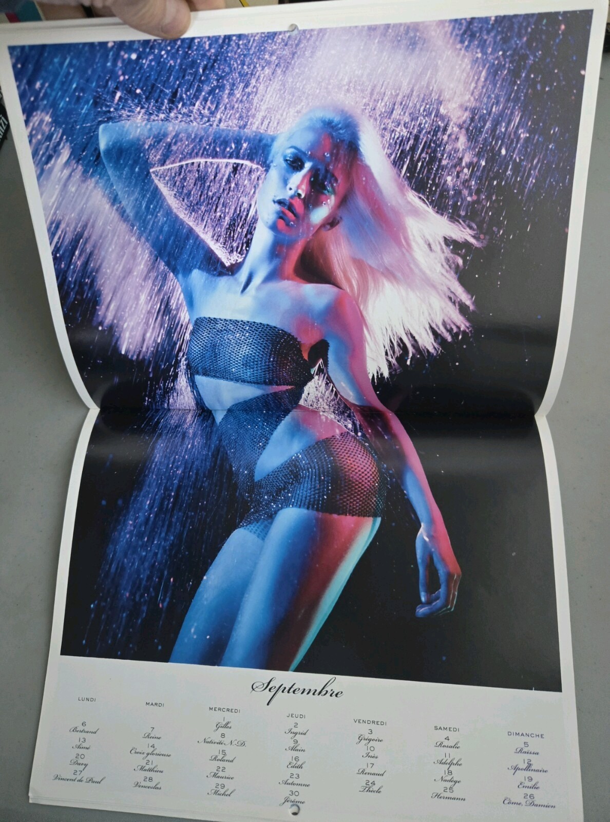 Vogue Paris calendar 2010 Natasha Poly Mario Sorrenti Corine Roitfeld Iselin