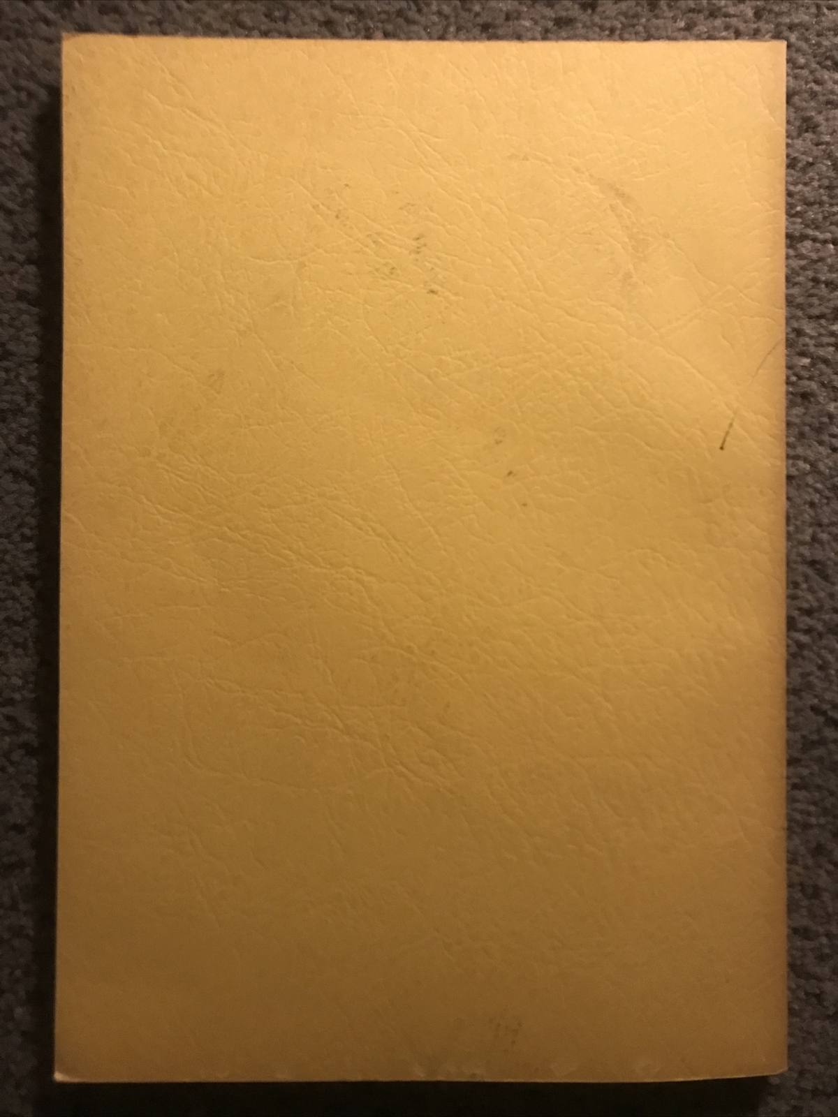 Polyester and Fiberglass and Information on Some Other Plastics- Maurice Lannon