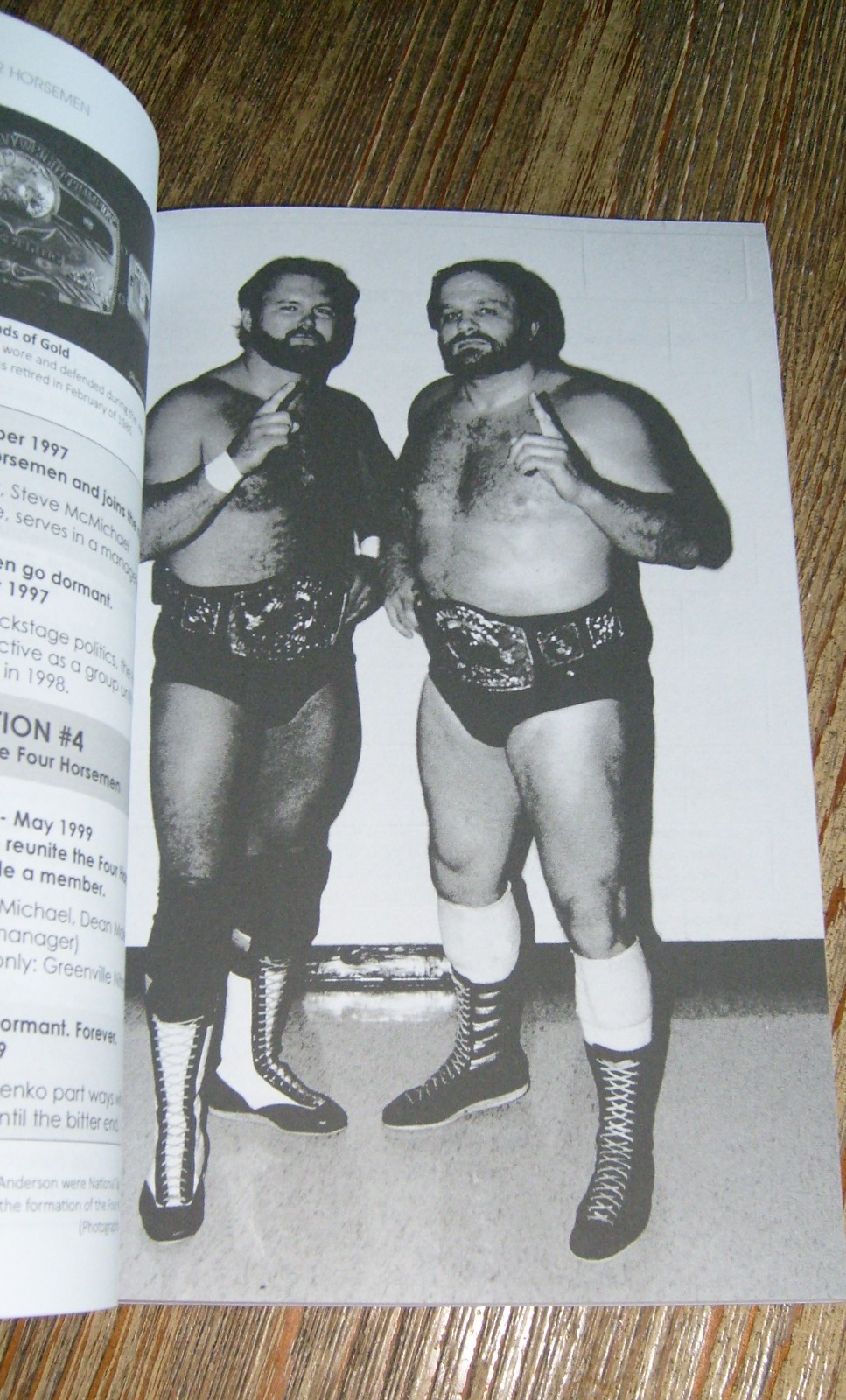 Four Horsemen by Dick Bourne 2017 Ric Flair Arn & Ole Anderson Pro Wrestling