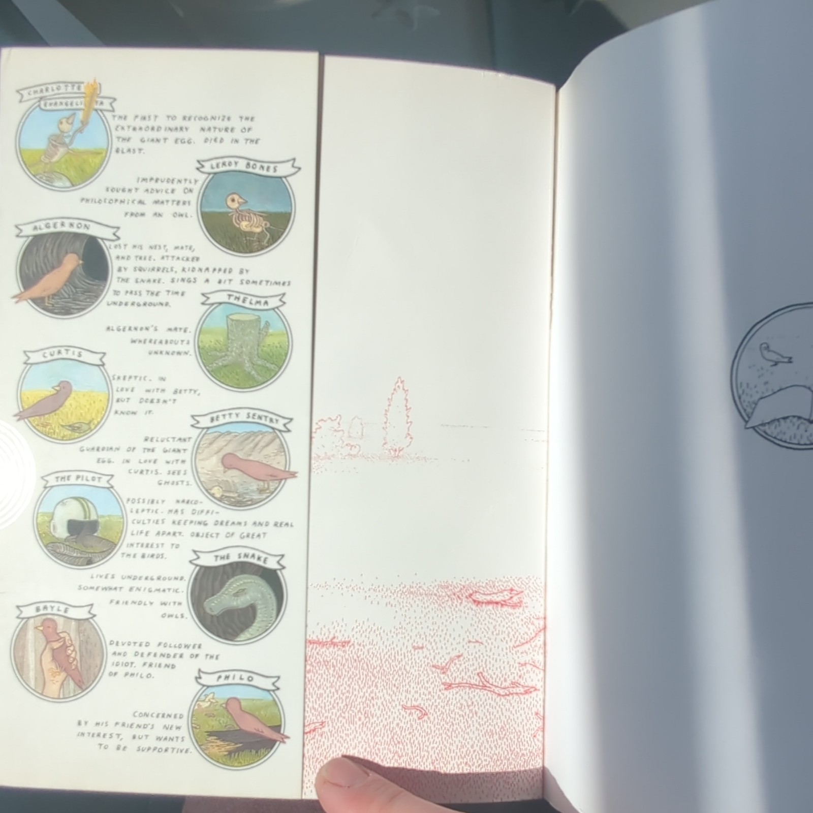 Big Questions Hardcover Illustrated 2009 Drawn & Quarterly Anders Nilsen