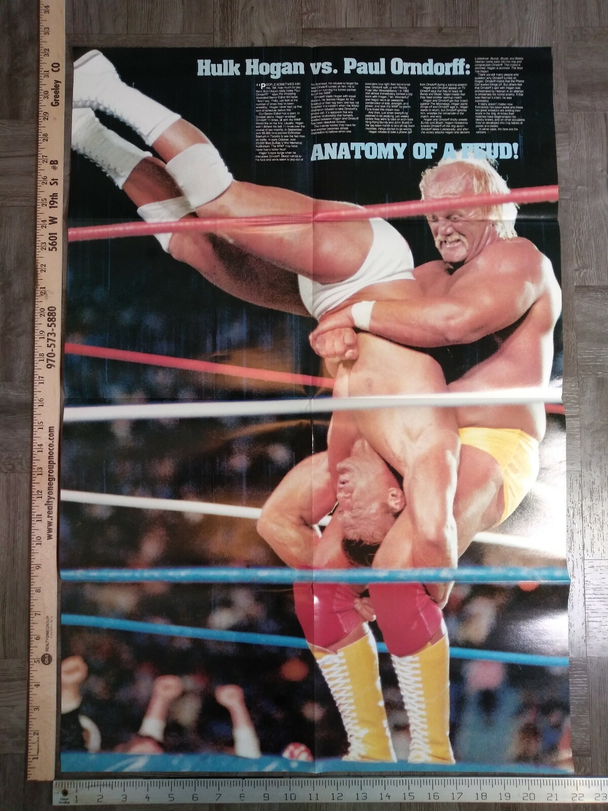 Pro Wrestling Illustrated Super Color #8 22×32 Hulk Hogan Paul Orndorff Poster