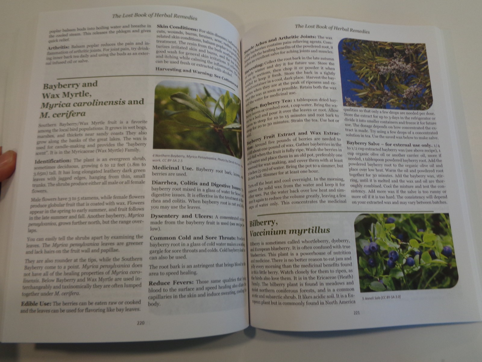 The Lost Book of Herbal Remedies by Claude Davis and Nicole Apelian Home Cures