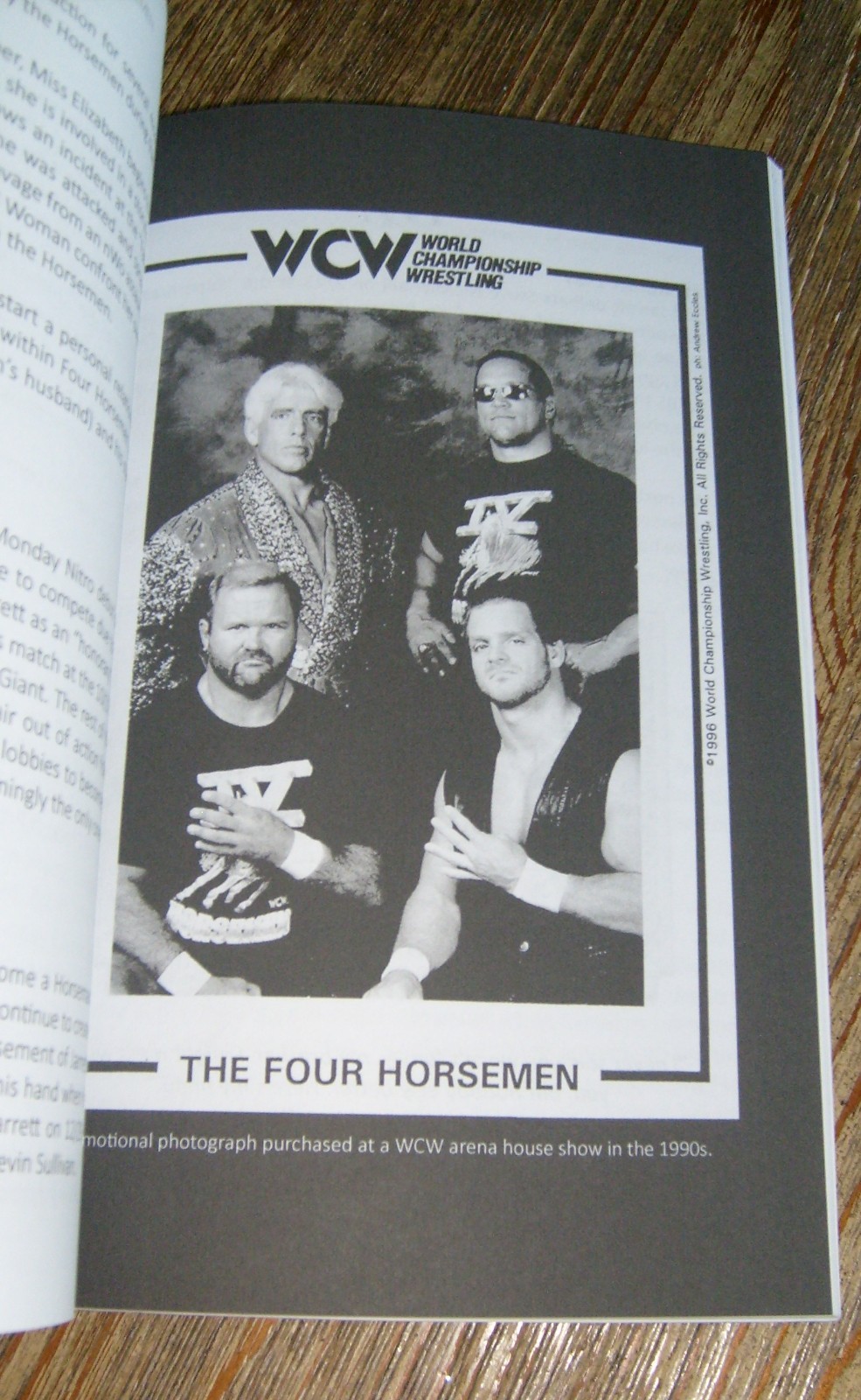Four Horsemen by Dick Bourne 2017 Ric Flair Arn & Ole Anderson Pro Wrestling