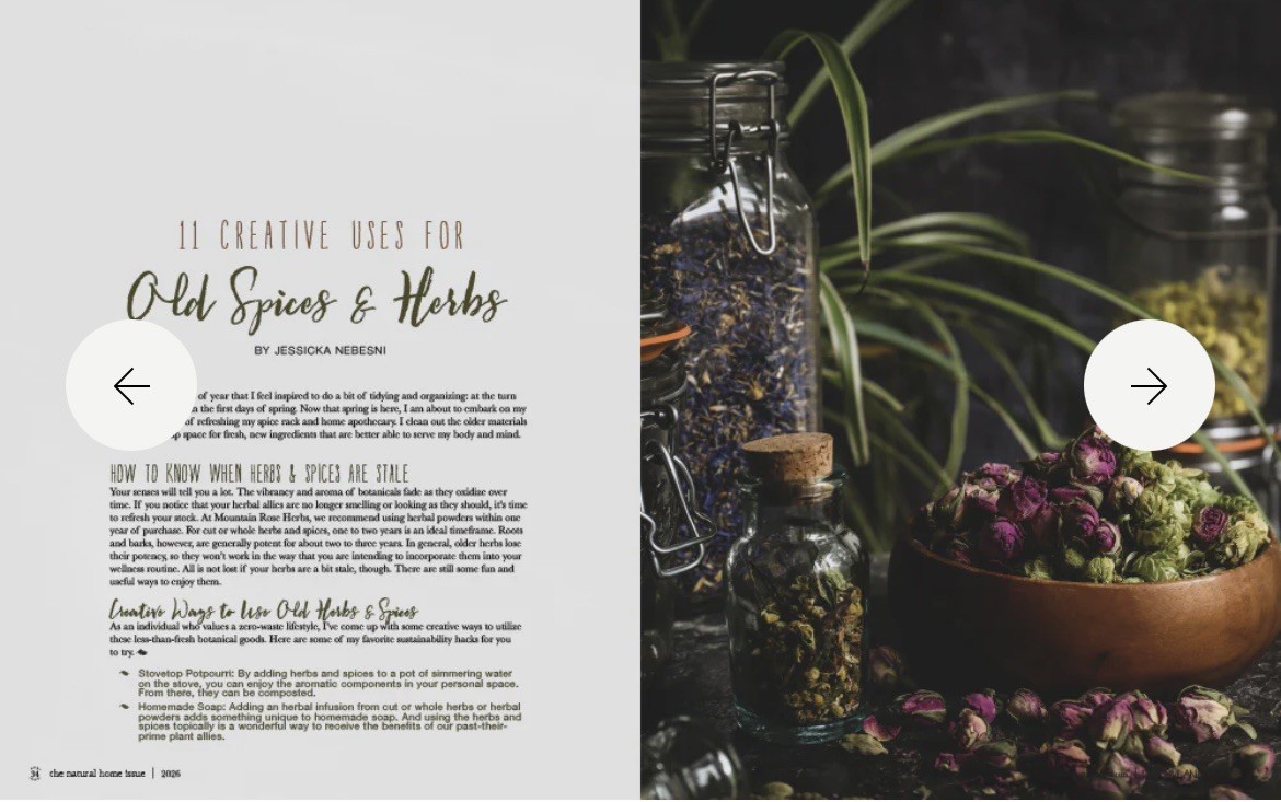 Willow and Sage Magazine The Natural Home Issue 2026