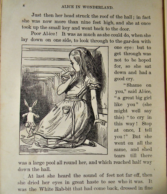 RARE Alice in Wonderland FIRST EDITION Lewis Carroll TENNIEL ILLUSTRATED Antique