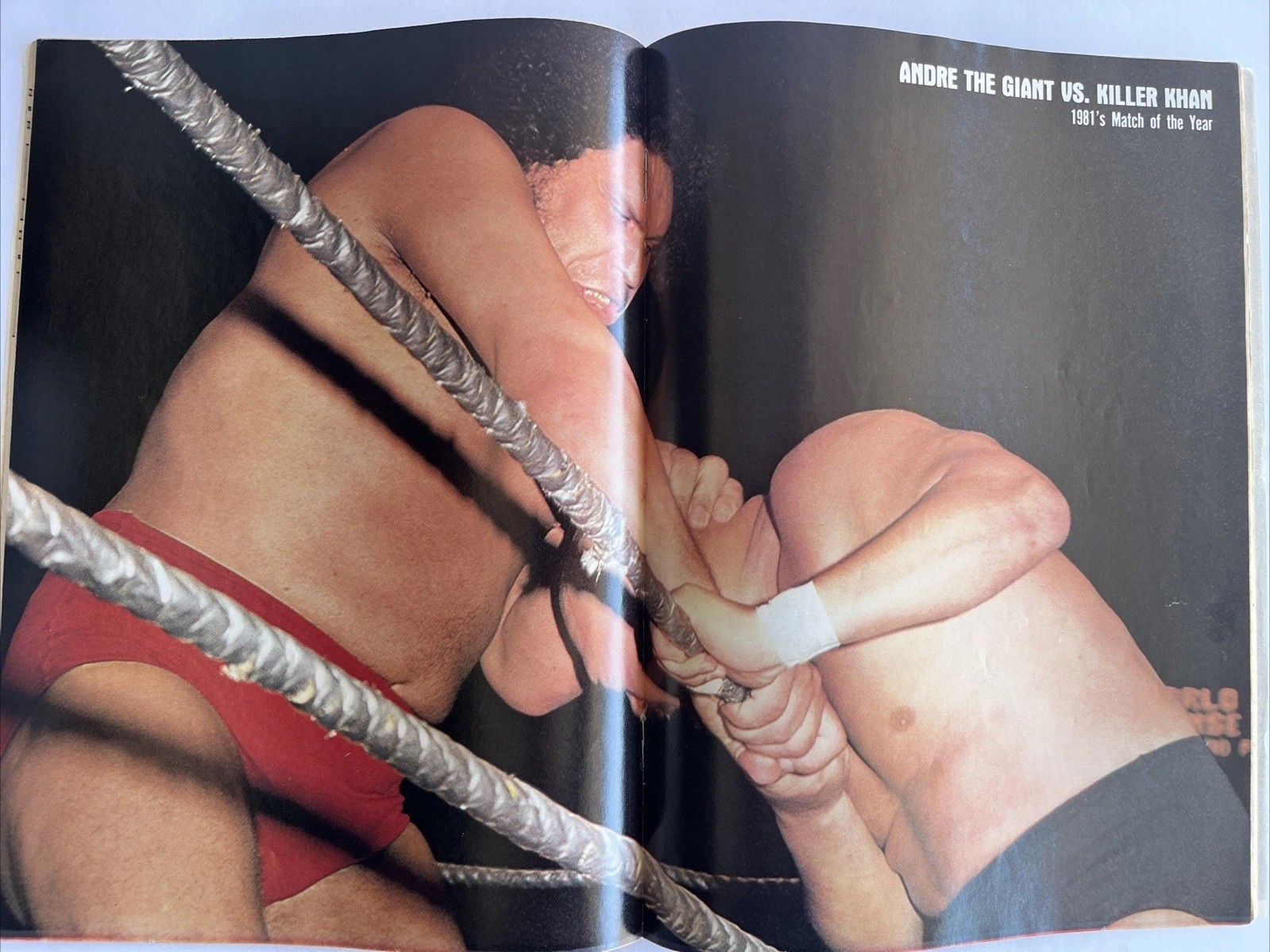 Pro Wrestling Illustrated Magazine PWI April 1983 Mascaras Andre Poster Dusty