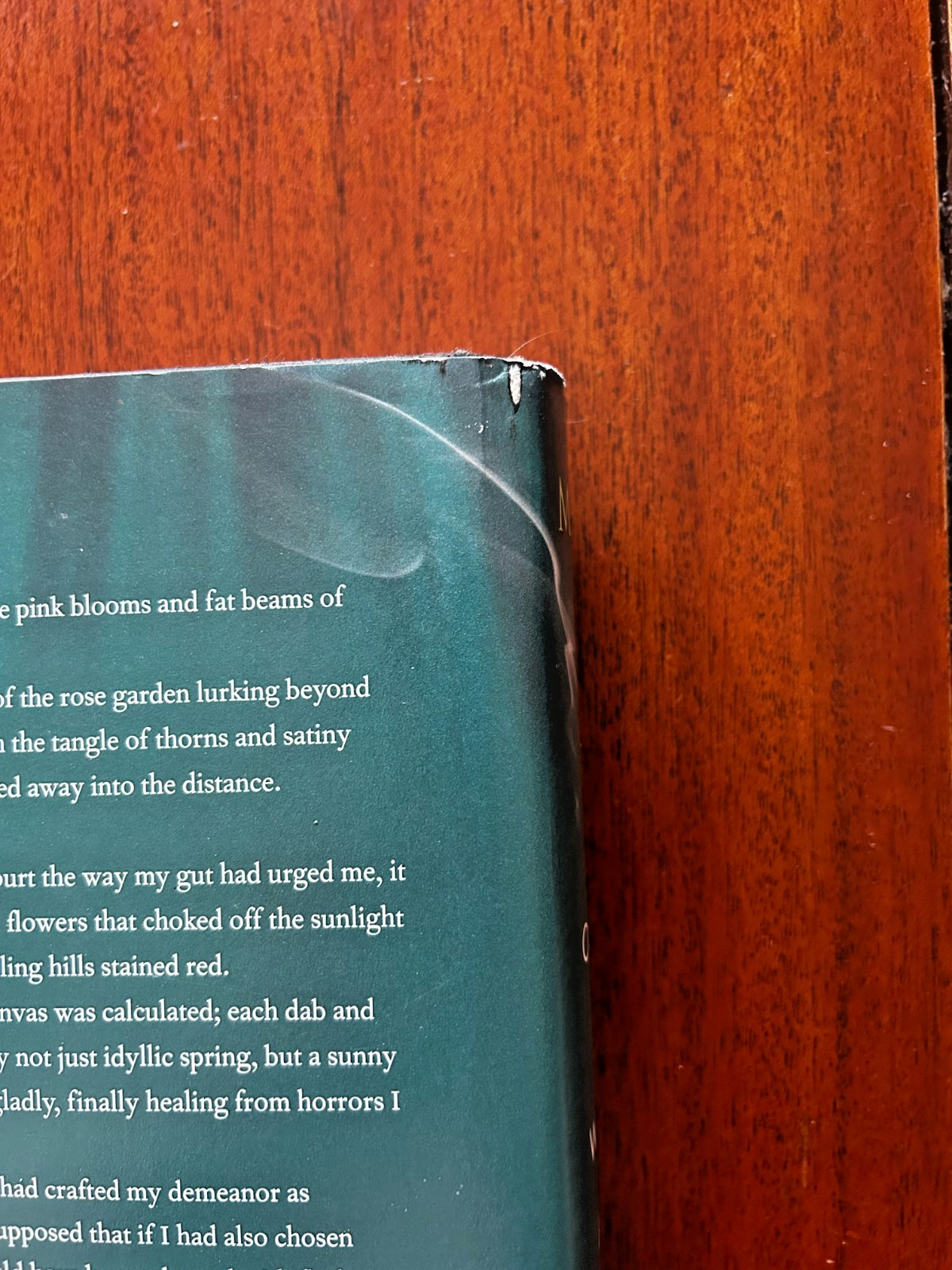A Court of Wings and Ruin Sarah J. Maas Hardcover (2017) Good to Fair Condition