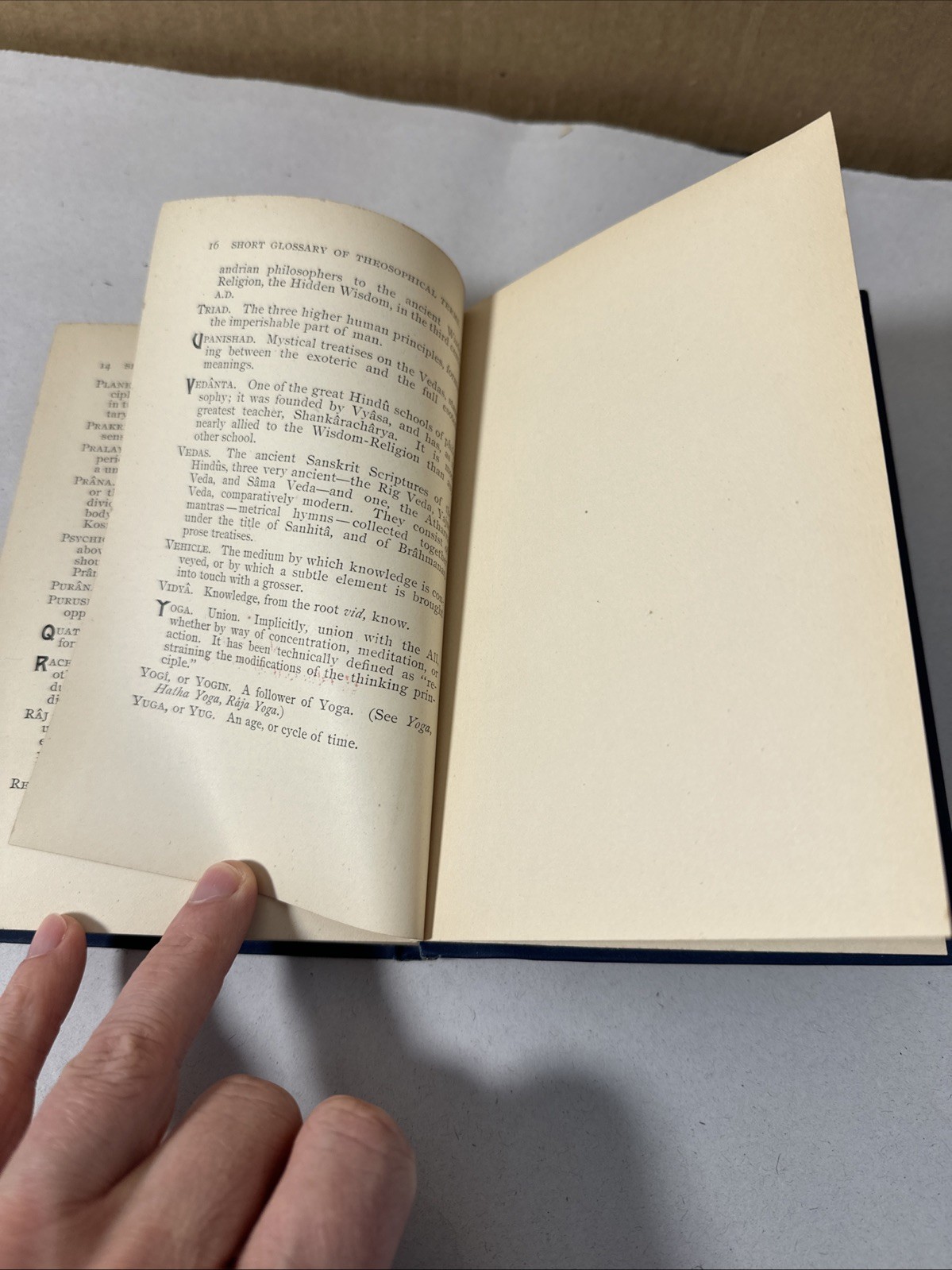 Theosophical Essays by Annie Besant 1895 First Edition Occult Rare Book