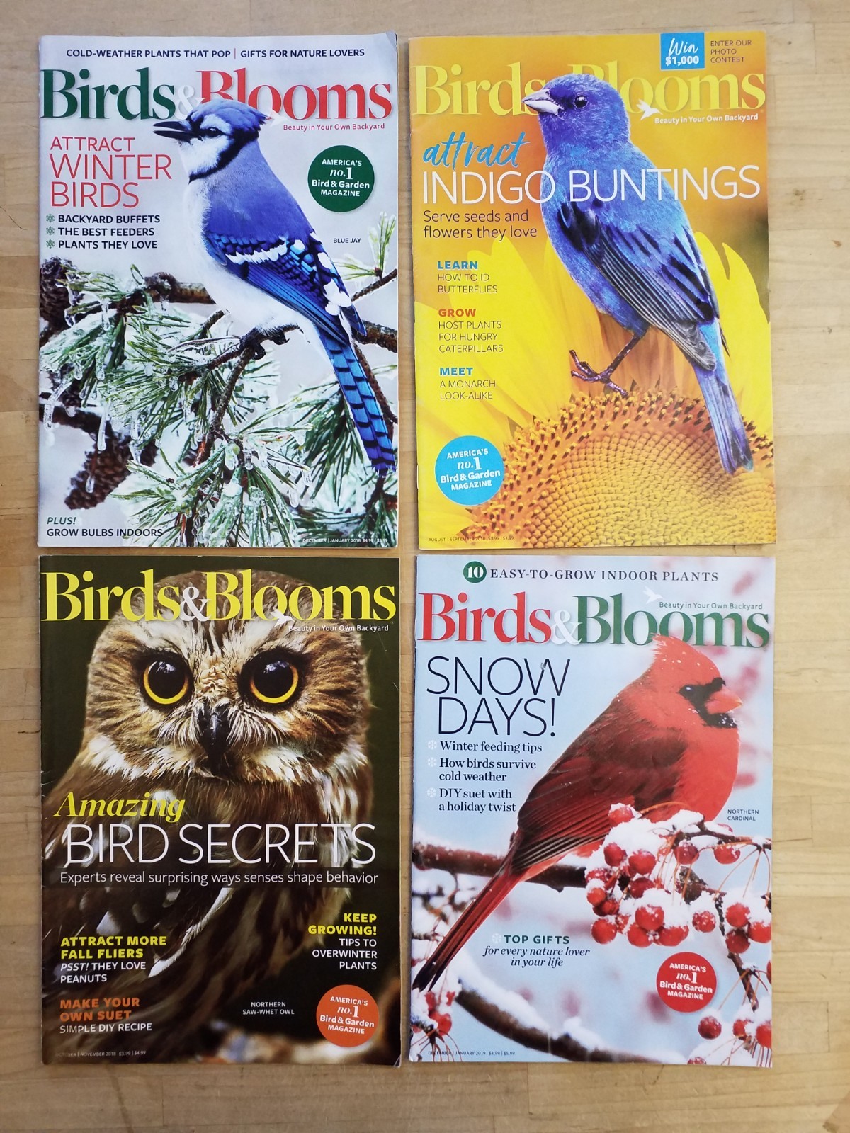 Birds & Blooms Magazine Lot of 25 2018-2024 Mixed Bundle GREAT